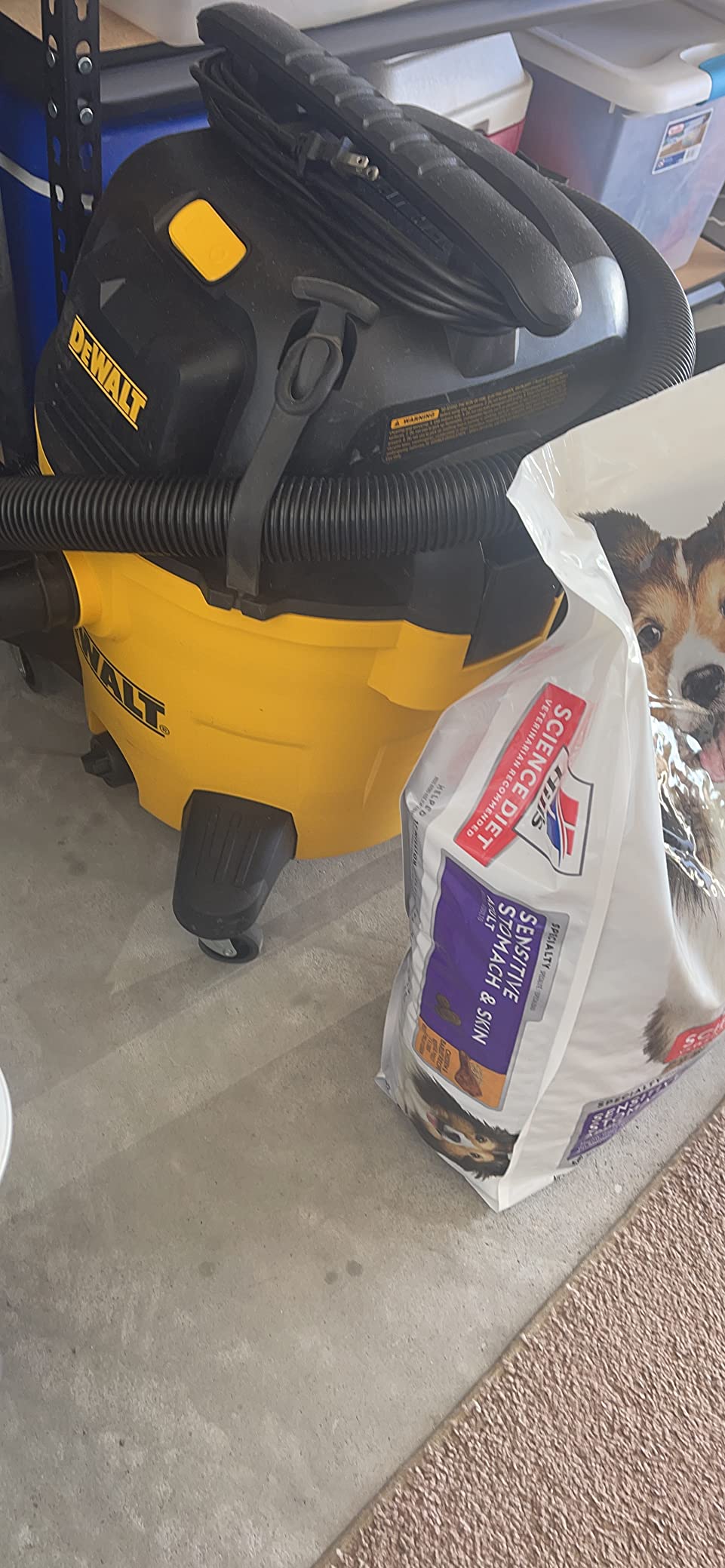 DEWALT 10 Gallon Poly Wet Dry Vacuum, 5.5 HP Shop Vacuum 120V 90 CFM for Jobsite, Work Shop, Commercial Area, Garage/Warehouse etc, 10 Ft Cord Model DXV10P customer photo 2