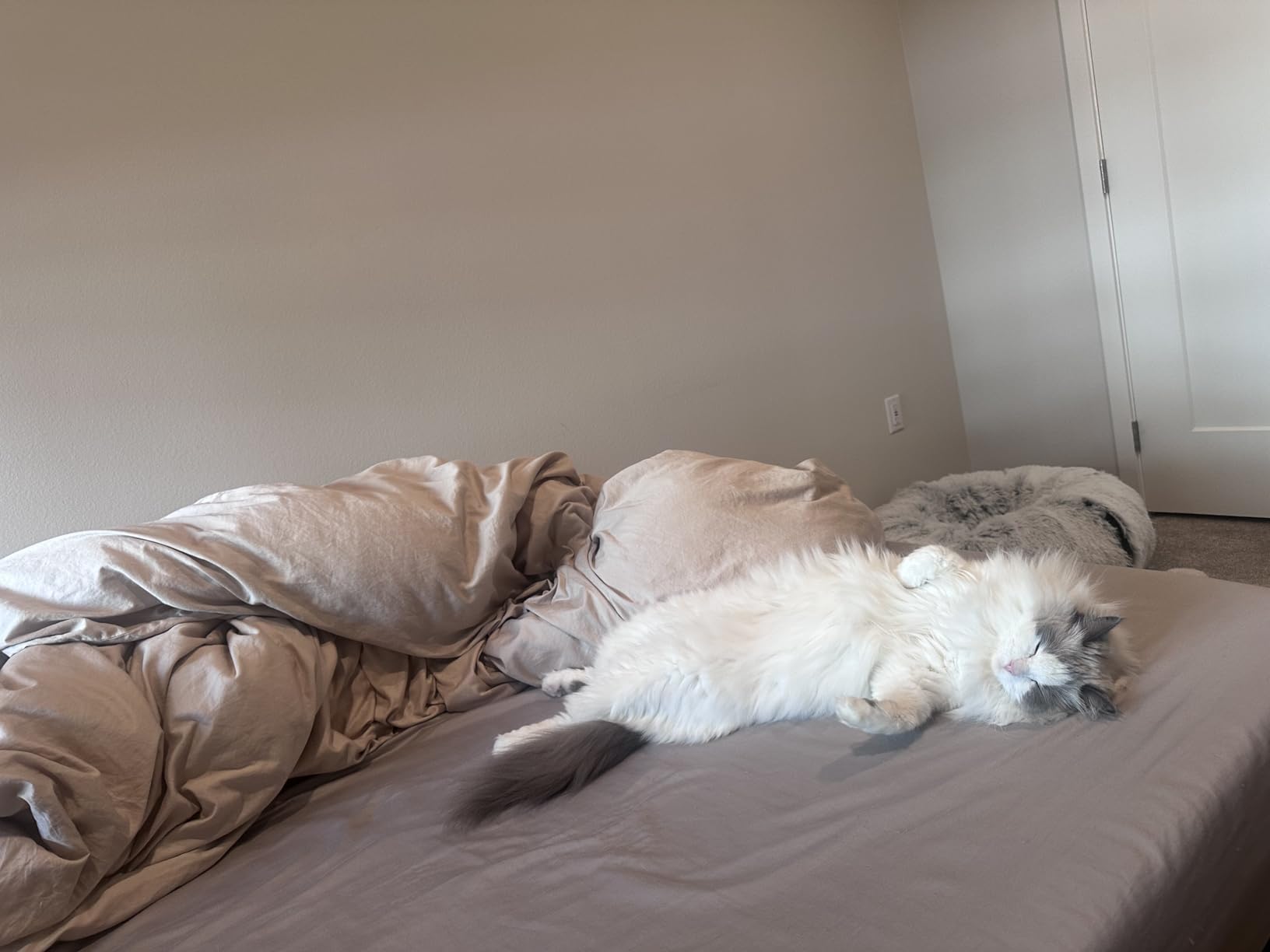 Brooklinen Luxury Sateen Duvet Cover - 100% Cotton, King/California King Size in White with Extra-Long Corner Ties and Button Closure customer photo 1