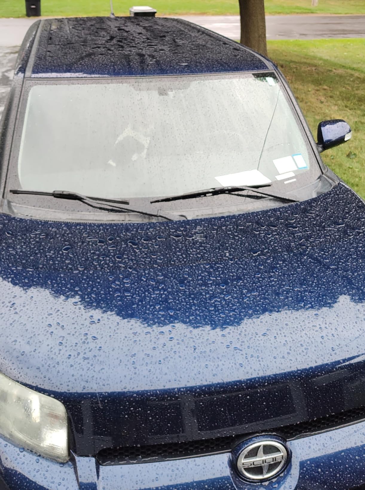 Greyghost Mr Fix 9h Nano Coating Kit Super Ceramic Car Coating Hydrophobic, Car Paint Protection Anti Scratch Glass Coat, High Gloss Auto Ceramic Polish 9h Hardness Ceramics customer photo 1