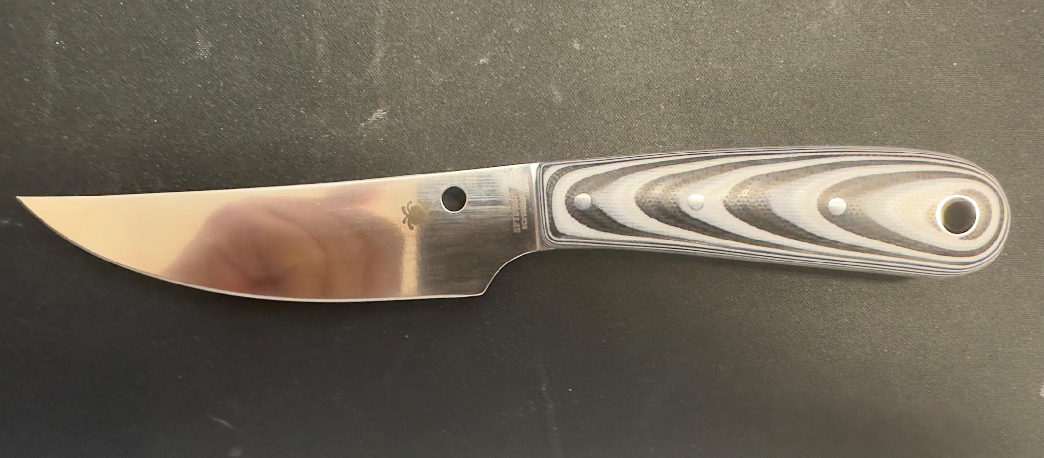 Spyderco Bow River Fixed Blade Outdoor Hunting Knife with 4.40