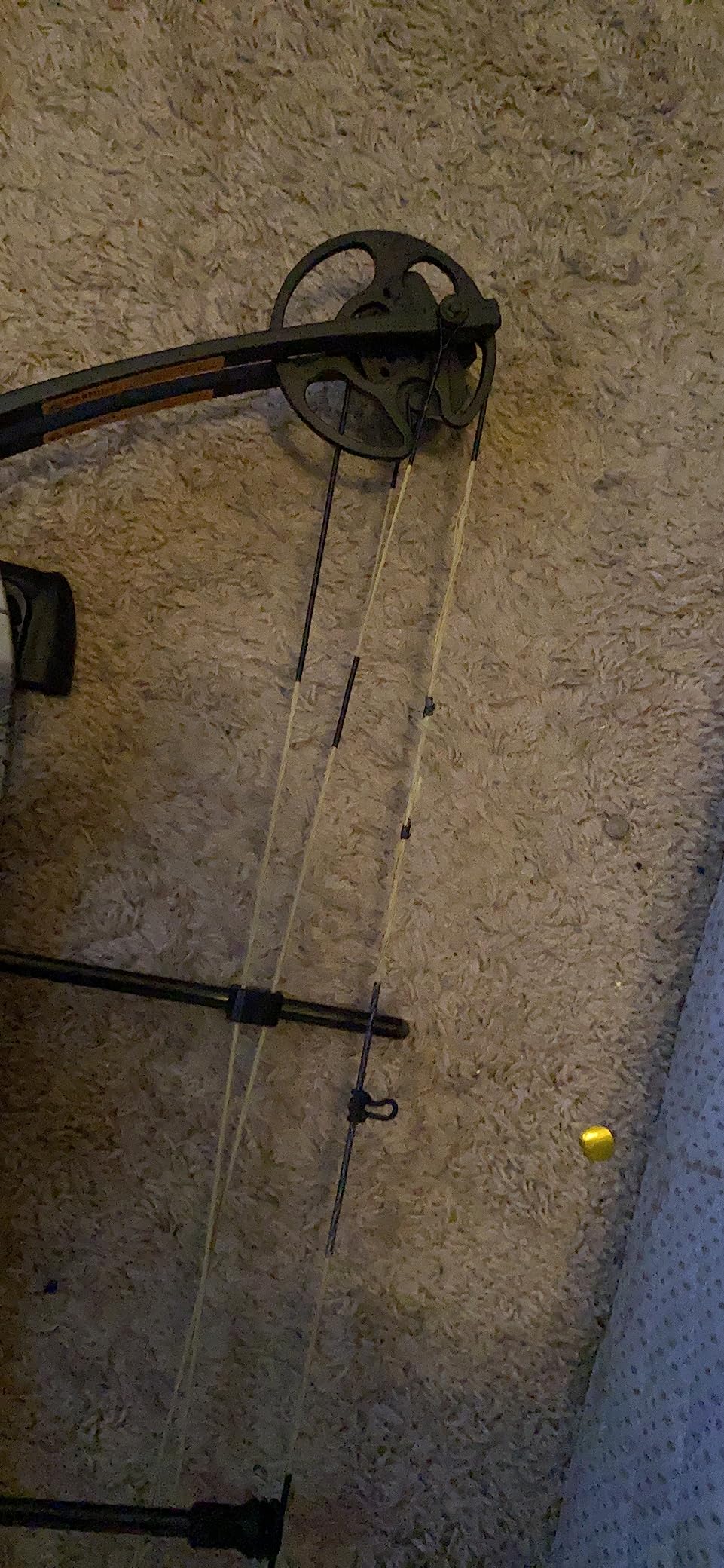 Bear Archery Limitless Dual Cam Compound Bow - Includes Quiver, Sight and Rest customer photo 1