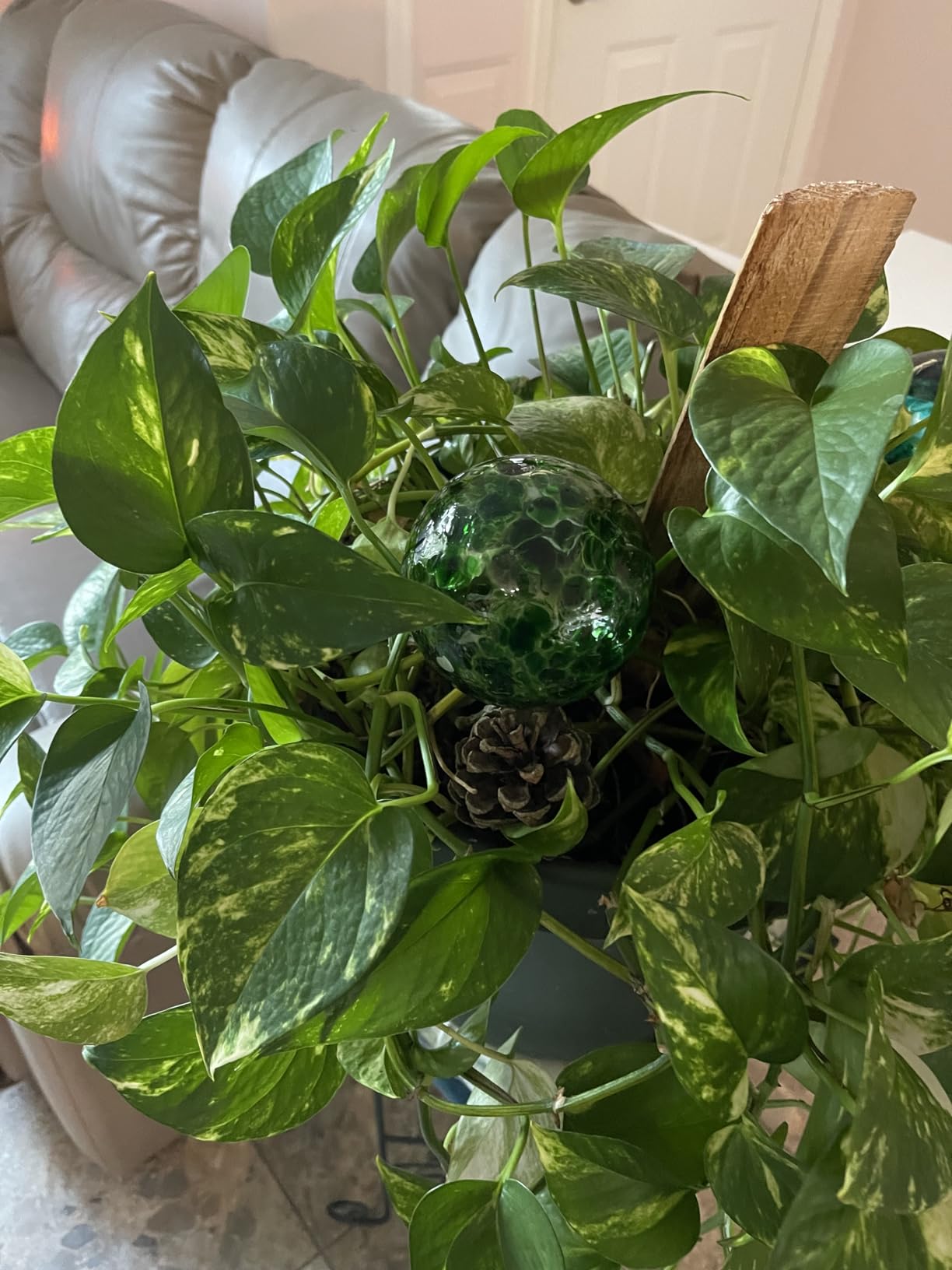 Besti Large Self Watering Globes for Plants (6-Pack) Waters Greenery Up to 2 Weeks Hands Free | Durable, Multicolored Glass Craftsmanship | Indoor and Outdoor Use customer photo 1
