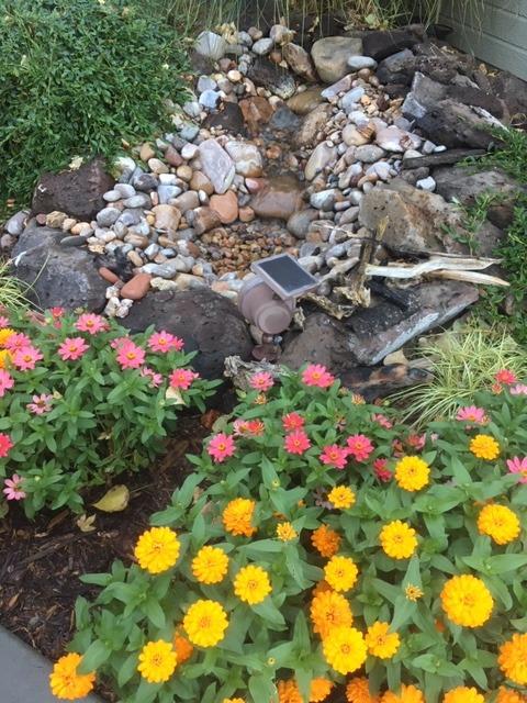 Aquascape EcoWave 5000 GPH Pond and Waterfall Pump, Mag-Drive, Quiet, Efficient, Compact | 91134 customer photo 2