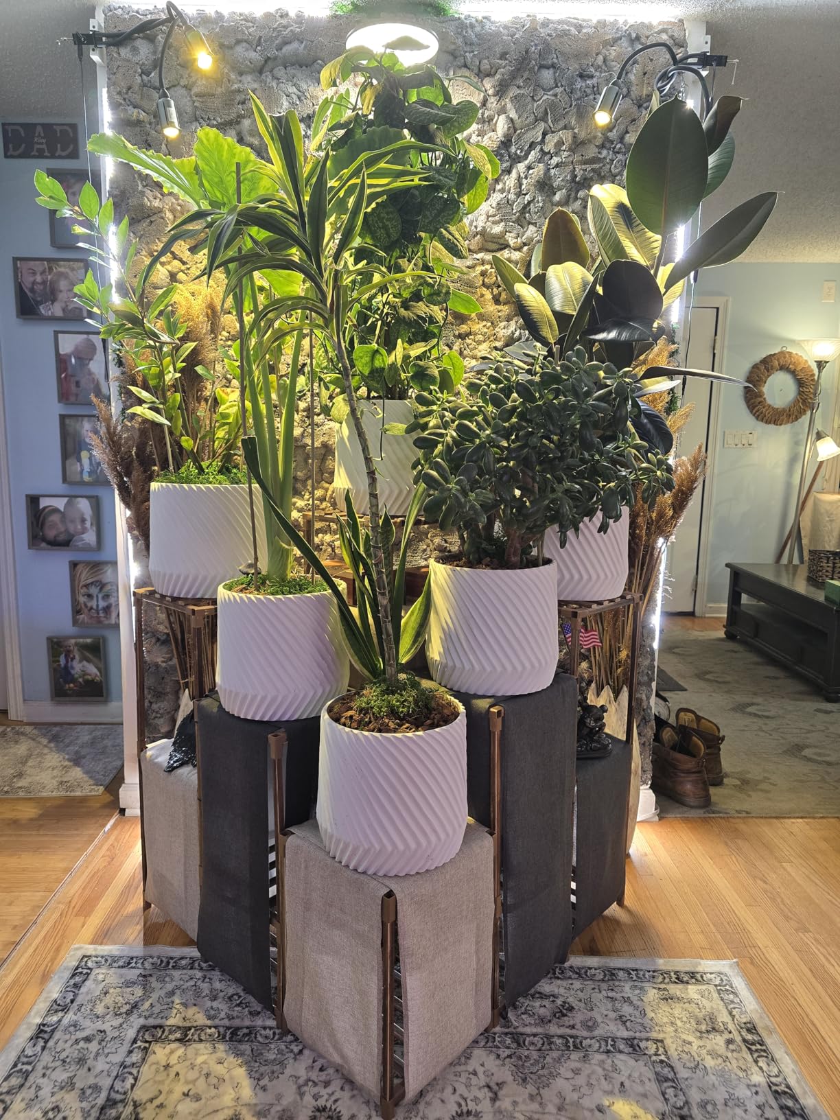 Fox & Fern Plant Pot, Large Plant Pots for Indoor & Outdoor, UV & Frost Resistant Plant Vase with Drainage Plug, Fiberstone, Large Indoor Pots for Plants & Flowers, House Indoor Plant Pot, Single Pot customer photo 1