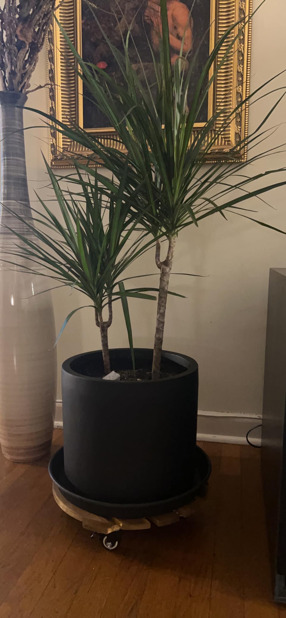 Fox & Fern Plant Pot, Large Plant Pots for Indoor & Outdoor, UV & Frost Resistant Plant Vase with Drainage Plug, Fiberstone, Large Indoor Pots for Plants & Flowers, House Indoor Plant Pot, Single Pot customer photo 2