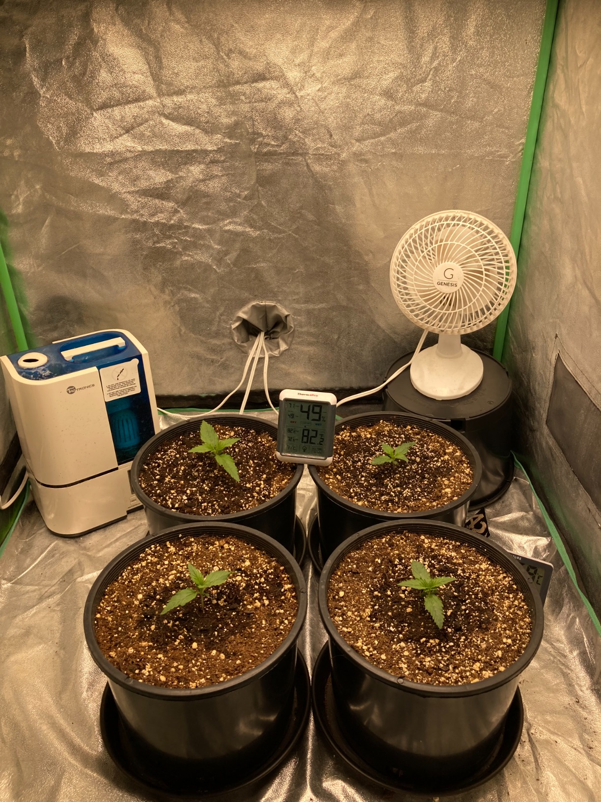 MARS HYDRO TS3000 420W LED Grow Light Full Spectrum, Smart Dimmable, Daisy Chain Commercial Growing Lamp for Indoor Plants, 4x4 5x5ft Coverage Greenhouse Grow Tent customer photo 1