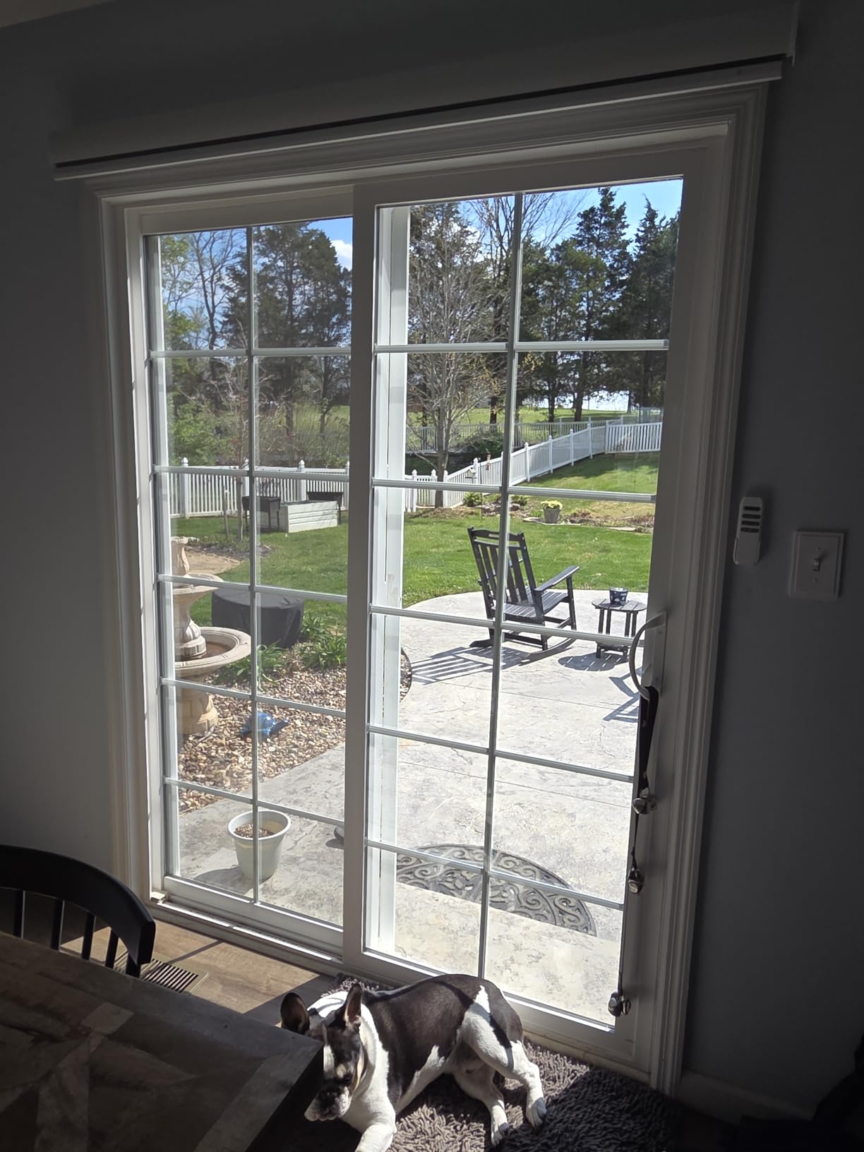 Yoolax Motorized Blinds with Remote, 100% Blackout Smart Blinds for Indoor Windows Motorized Roller Shades Work with Alexa, Google, Custom Electric Shades with Voice Control (Foggy Grey) customer photo 1