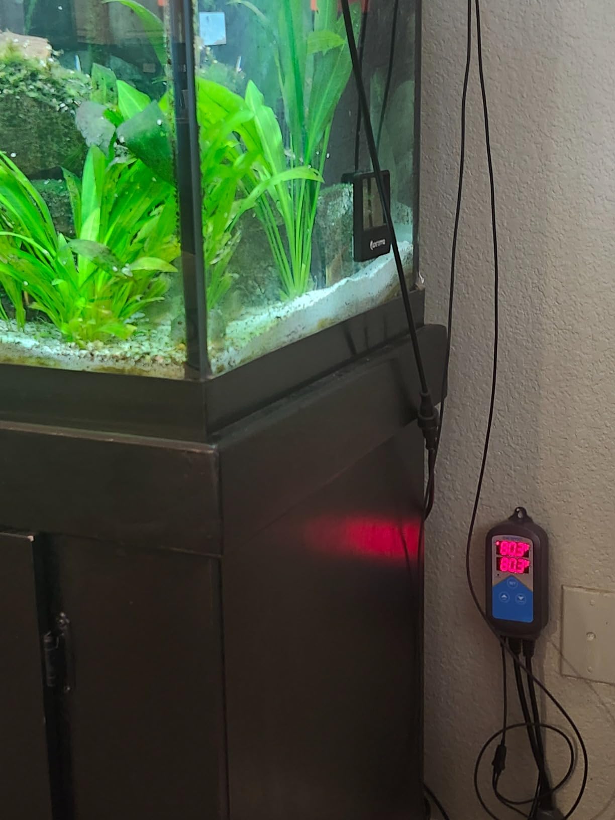 Inkbird ITC-306A WiFi Temperature Controller, Wi-Fi Aquarium Thermostat Heater Controller 120V~1200W Temperature Control with Two Probes only for Heater Aquarium Breeding Reptiles Hatching customer photo 1