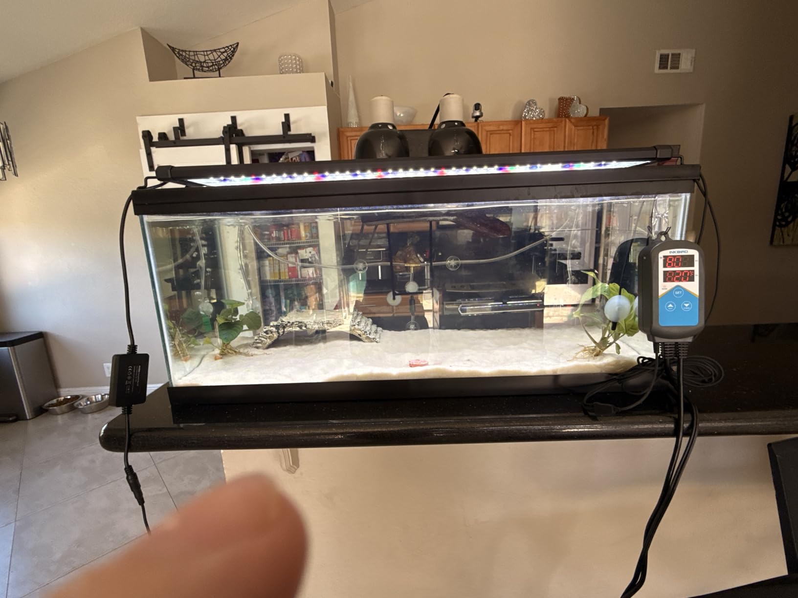 Inkbird ITC-306A WiFi Temperature Controller, Wi-Fi Aquarium Thermostat Heater Controller 120V~1200W Temperature Control with Two Probes only for Heater Aquarium Breeding Reptiles Hatching customer photo 2