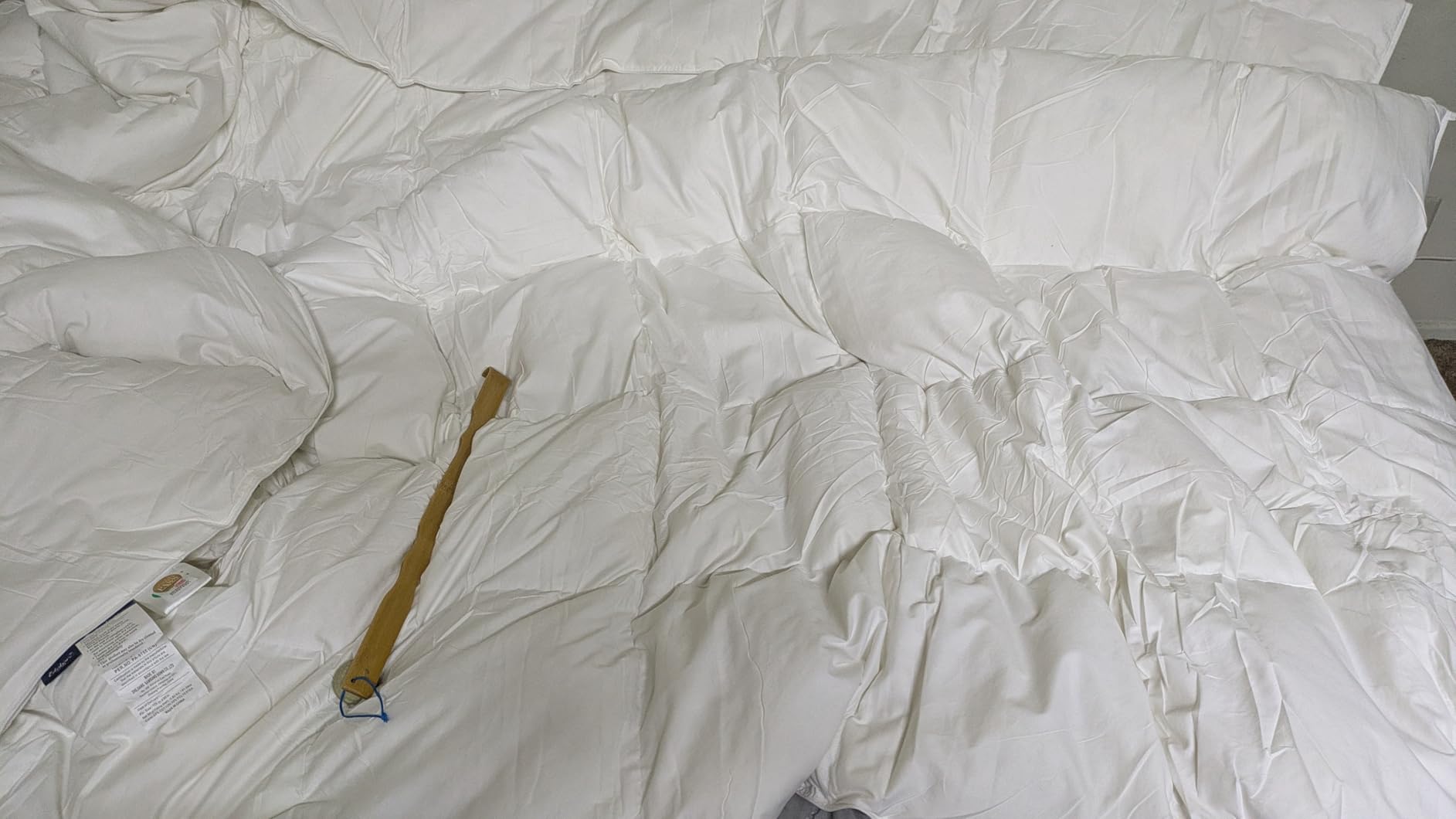 Globon Goose Down Comforter King Size, 800 Fill Power All Seasons Luxury Duvet Insert, Ultra Soft 420 Thread Count Noiseless Shell, Medium Weight with 8 Corner Tabs, White customer photo 2
