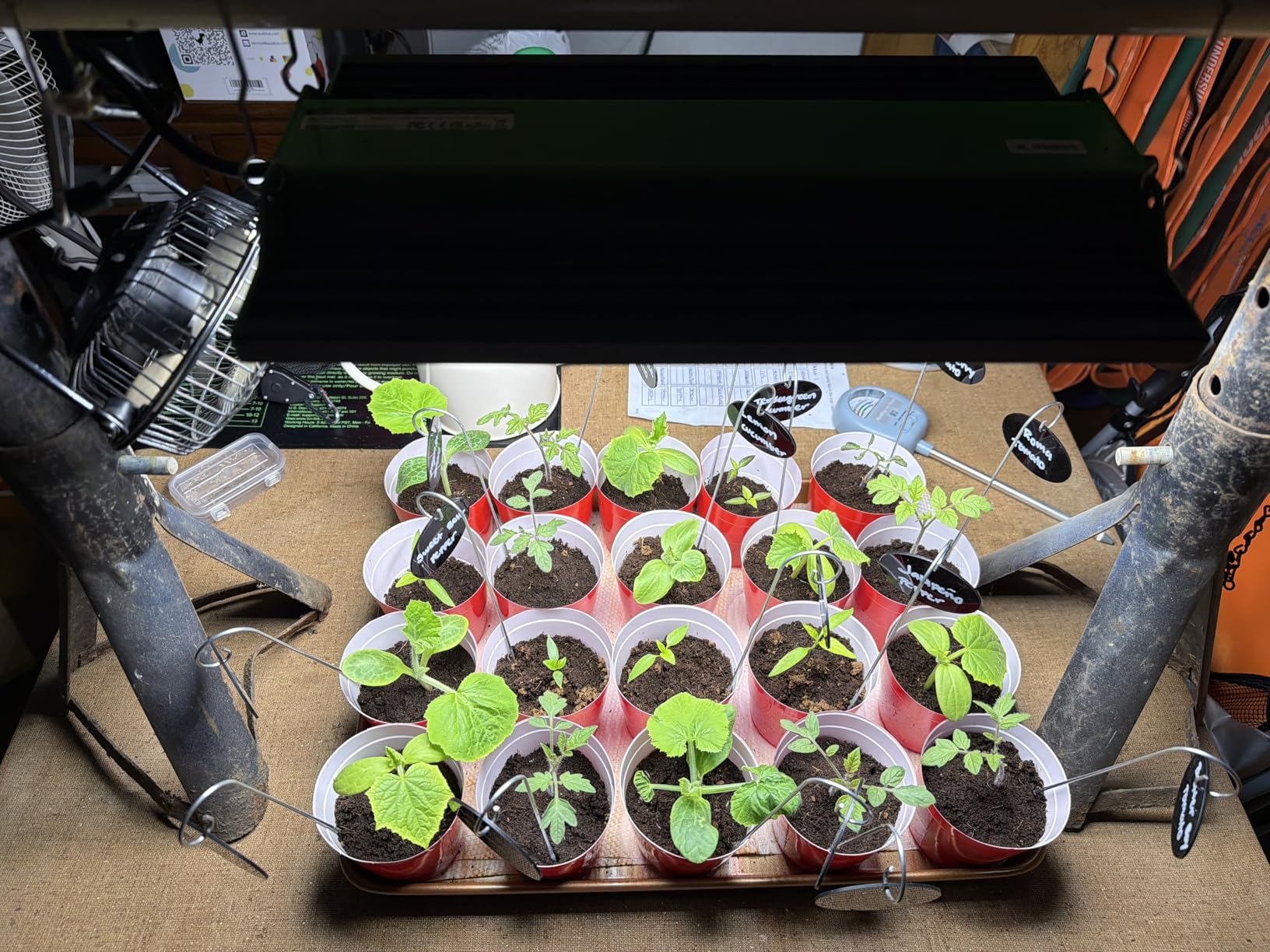VIPARSPECTRA Upgraded P4000 Led Grow Lights for Indoor Plants Dimmable Full Spectrum Commercial Grow Lamp for Seedlings Veg/Bloom in 5x3 Grow Tents Greenhouses customer photo 1