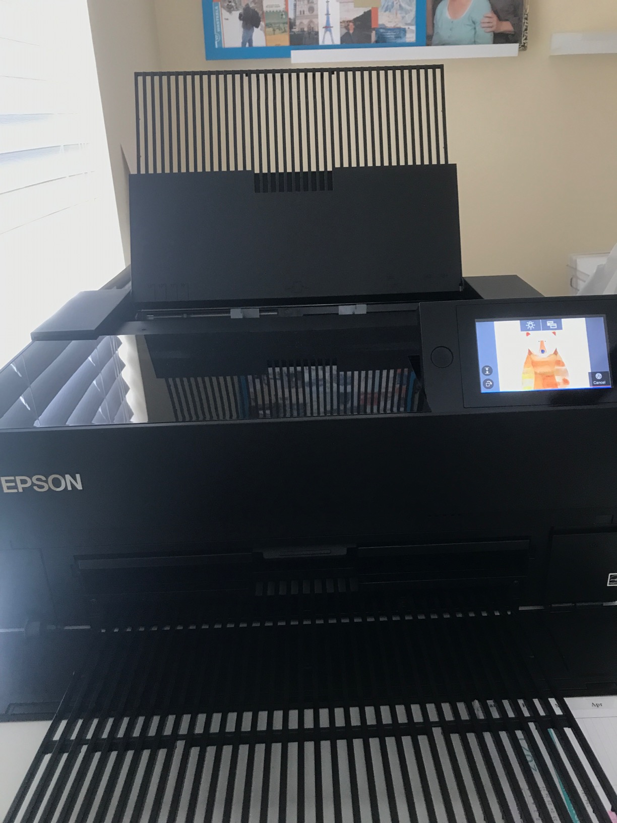 Epson SureColor P700 13-Inch Printer, Black customer photo 2
