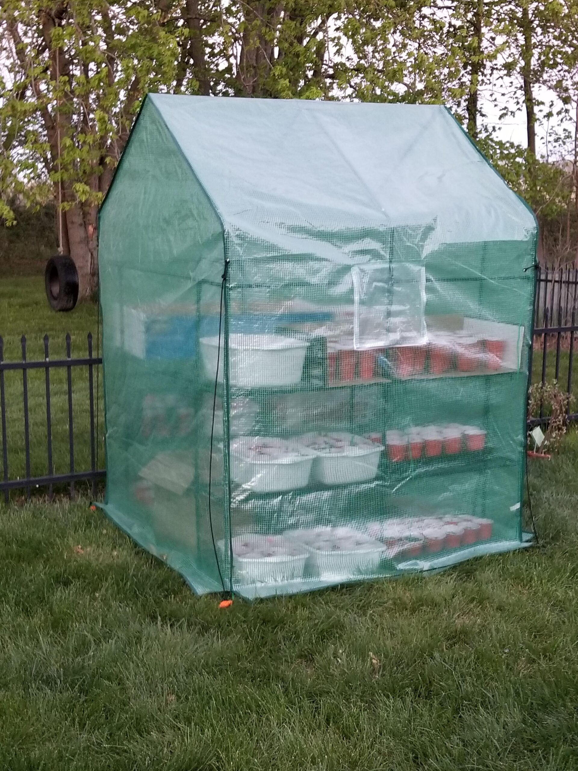 VIVOSUN 20x10x7 Ft. Large Walk in Greenhouse, Greenhouse Tunnel, Garden Plant Hot House with Green PE Cover, Roll-up Zipper Door and Window for Outdoor customer photo 1