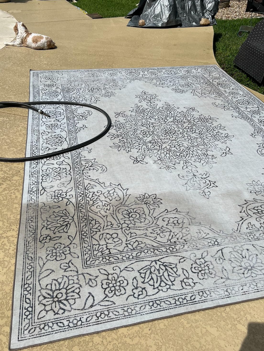 ReaLife Rugs Machine Washable Area Rug Runner - Padded Low Pile Stain Resistant Premium - Boho Farmhouse Vintage - Joy - Beige Ivory 2'6