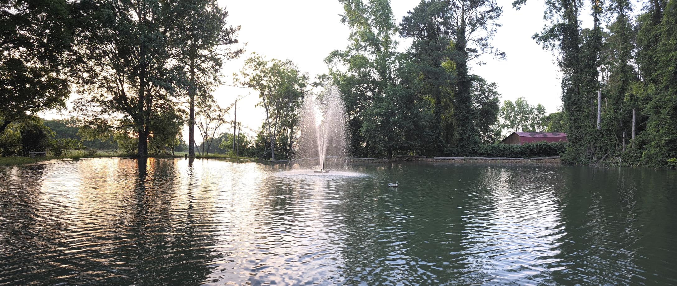 WaterRebirth (9800GPH-620W,UL listed) High Flow Submersible Pond Water Aquarium Pump Multi Scenario Application customer photo 1