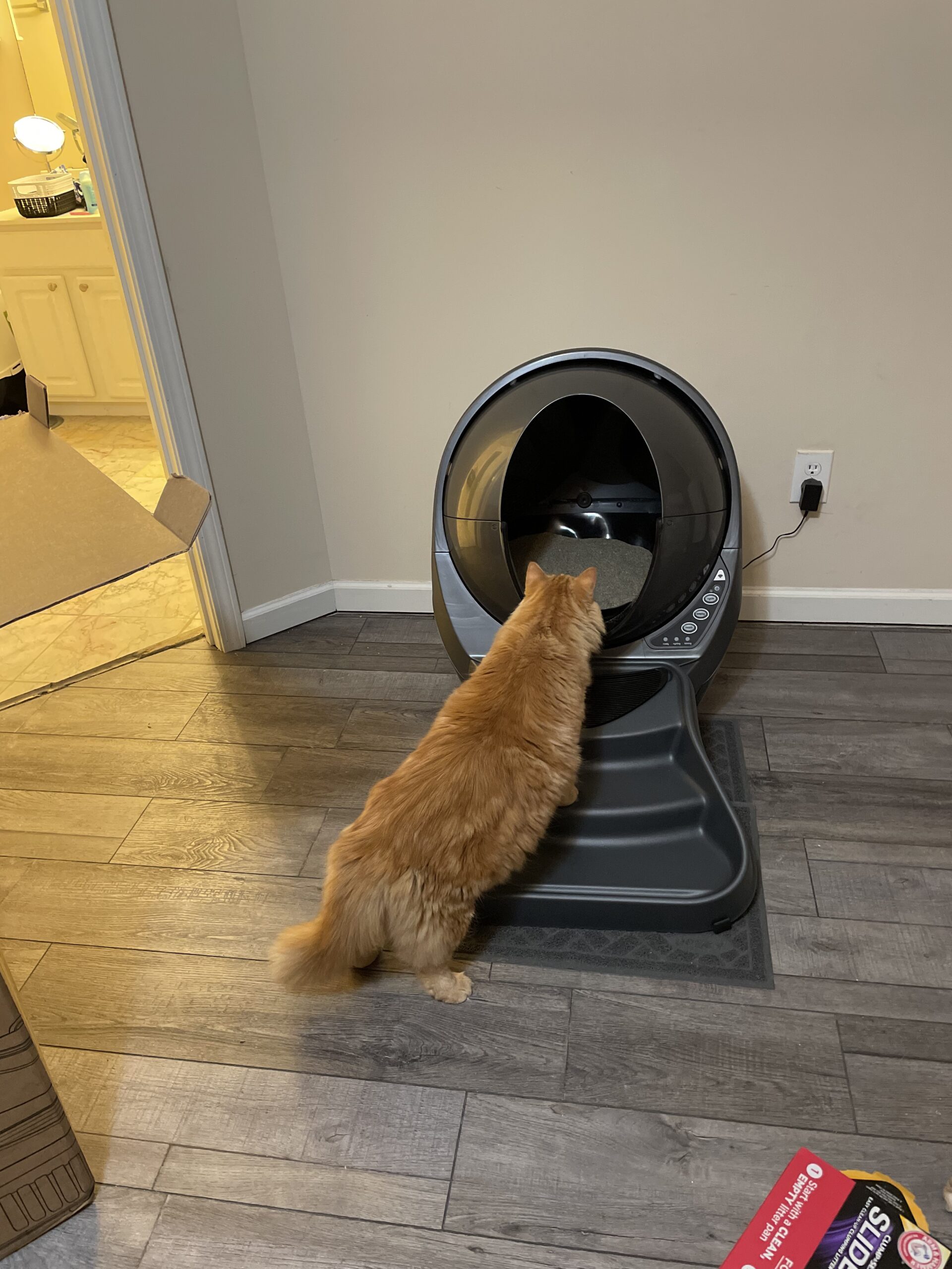 Litter-Robot 3 Connect by Whisker, Grey - Automatic, Self-Cleaning Cat Litter Box, App Control, Helps Reduce Litter Box Odors, Works with Any Clumping Litter, WhiskerCare 1-Year Warranty customer photo 1