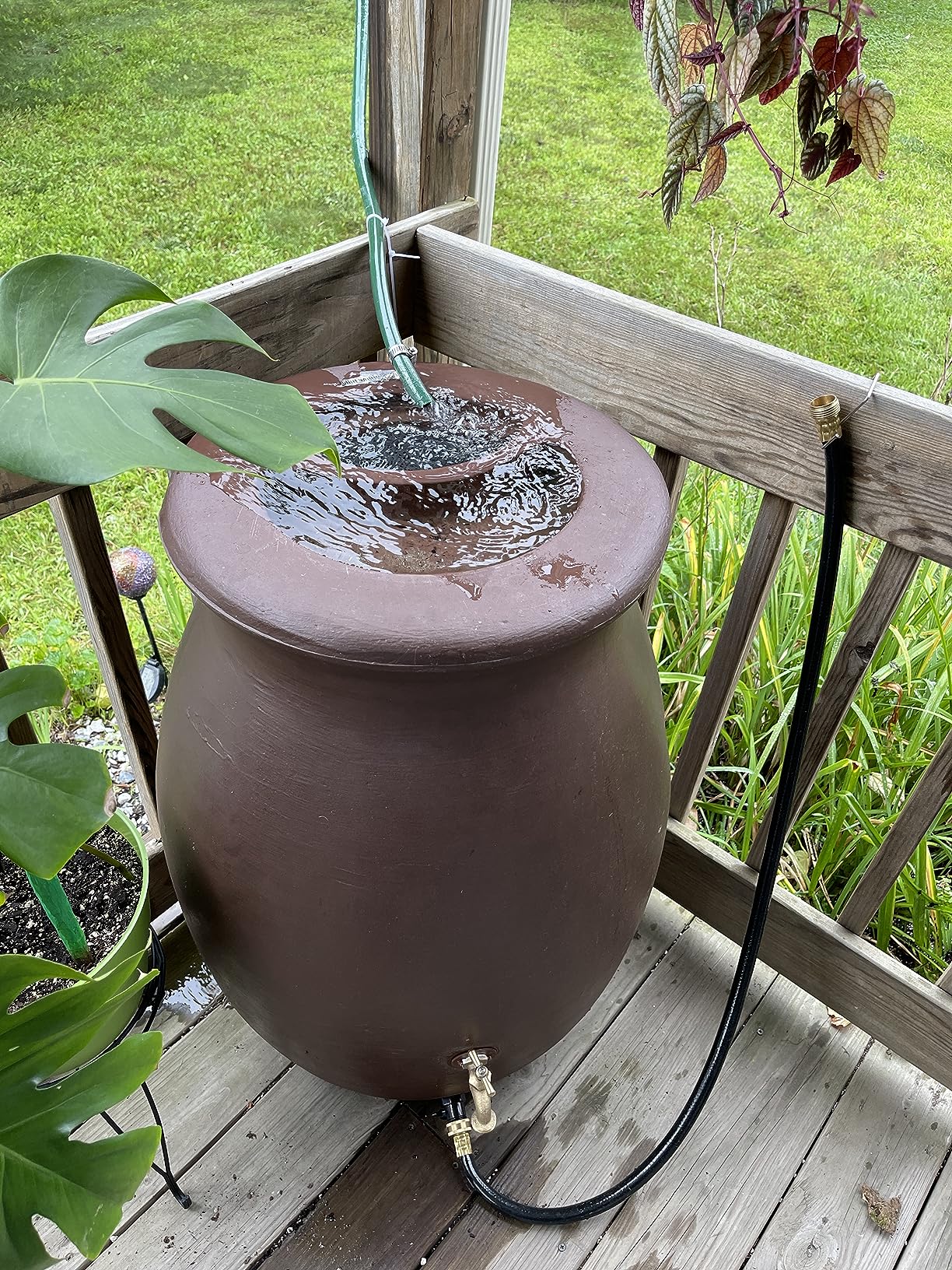 Gardener's Supply Company 50 Gallon Rainwater Collection Urn | Outdoor Water Catcher Barrel | Hose Included | Brass Spigot - Terra Cotta Color customer photo 1