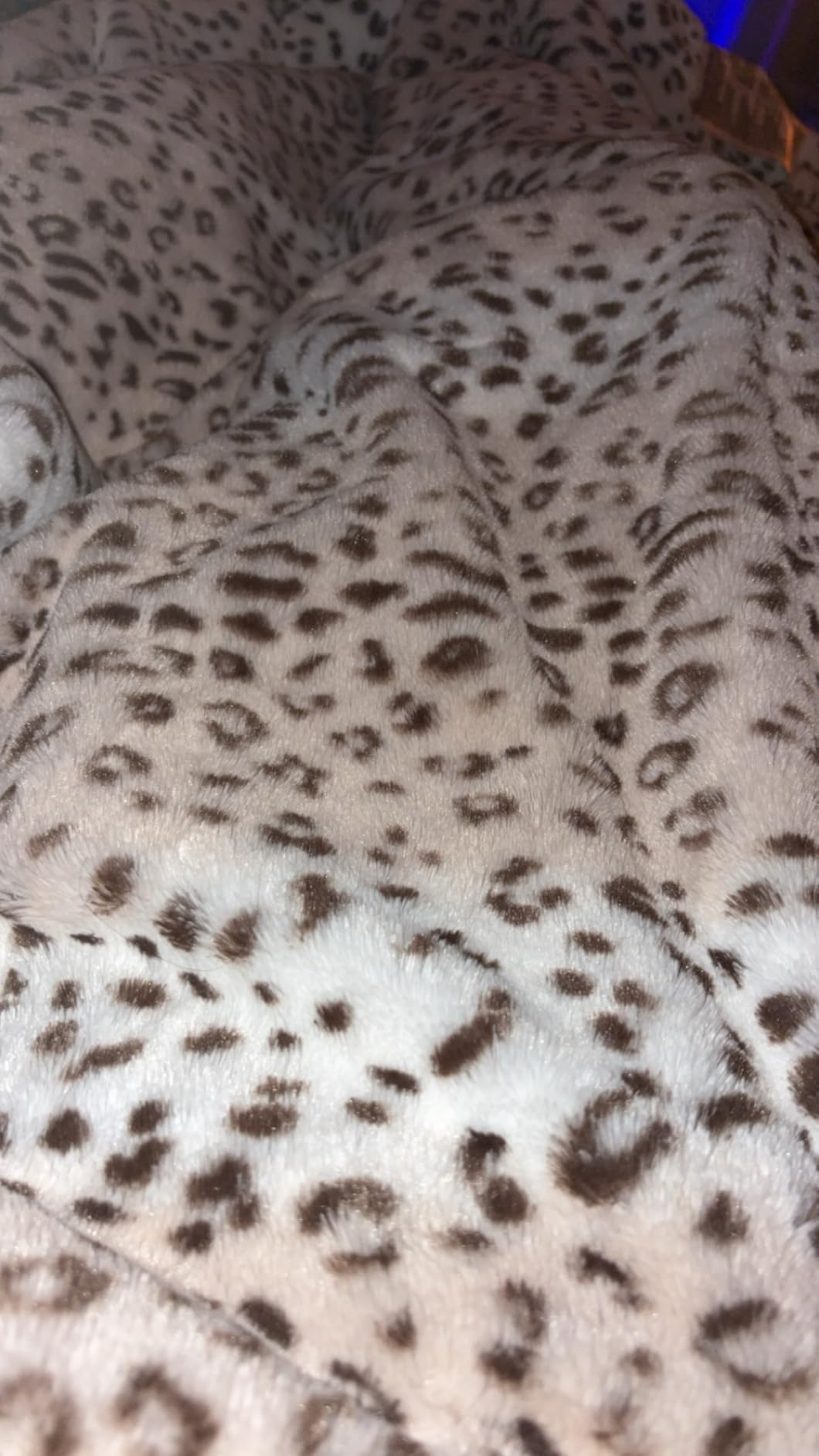 Westinghouse Electric Blanket Queen, Heated Blanket Queen Size with 10 Heating Levels and 1 to 12 Hours Heating Time Settings, Flannel to Sherpa Reversible customer photo 1