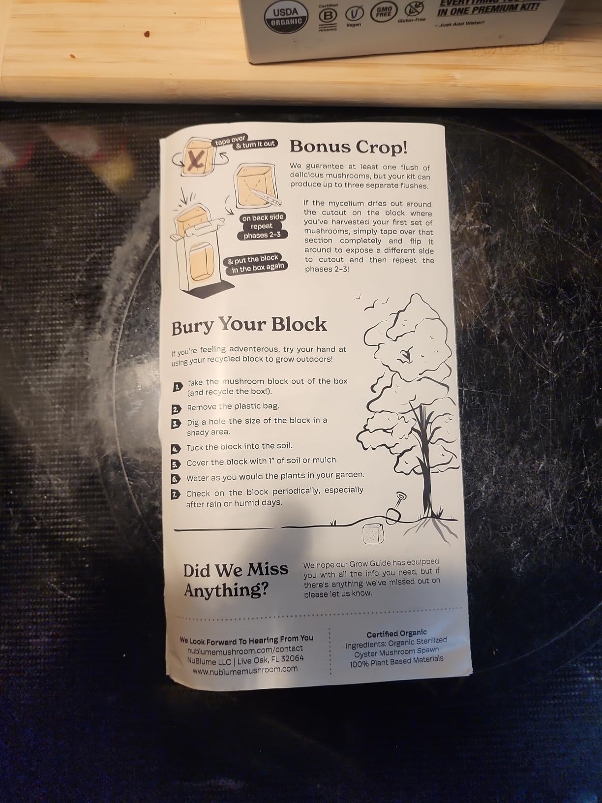 BloomBox Blue Oyster Mushroom Grow Kit - Spray & Grow - Pre-Inoculated Indoor Mushroom Farm - Beginner Friendly - Harvest Fresh Gourmet Mushrooms in Days customer photo 1