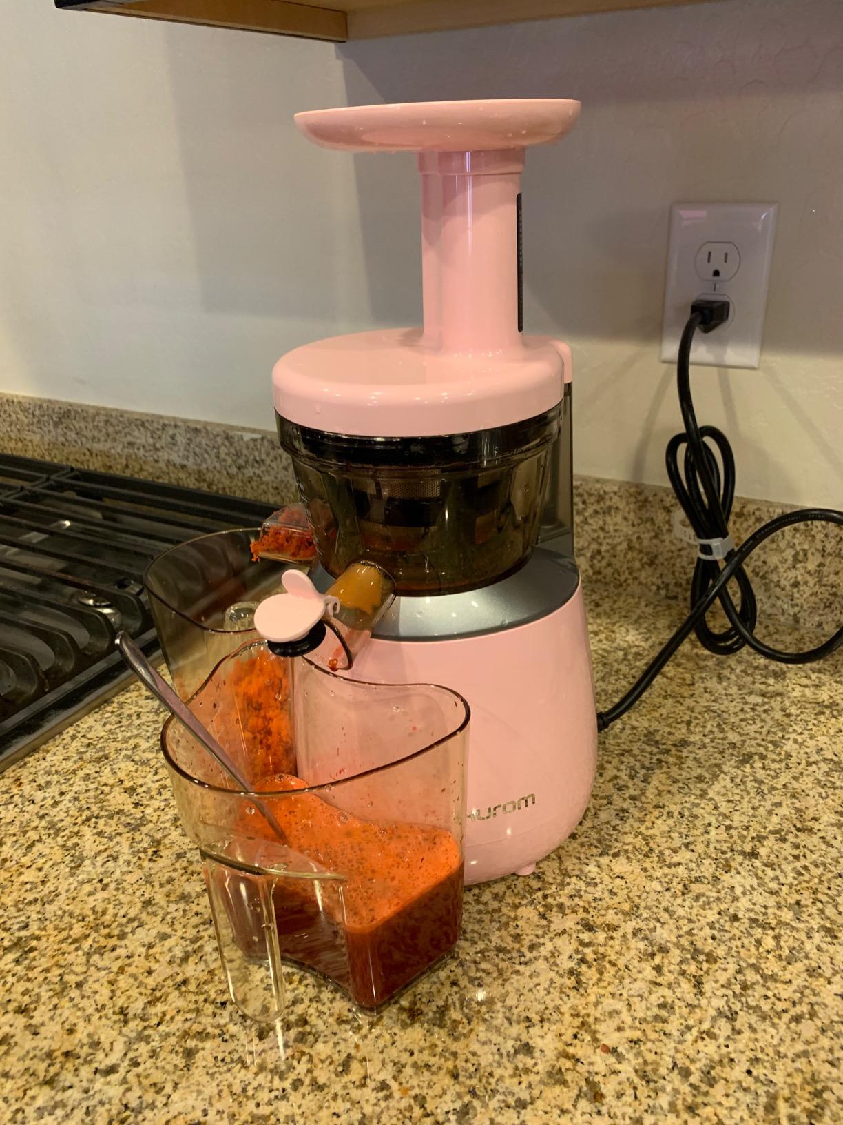 Hurom H310 Easy Clean Slow Juicer, Compact, Quiet Motor, Hopper Fits Whole Produce, Cold Press Masticating Juicer, White customer photo 1