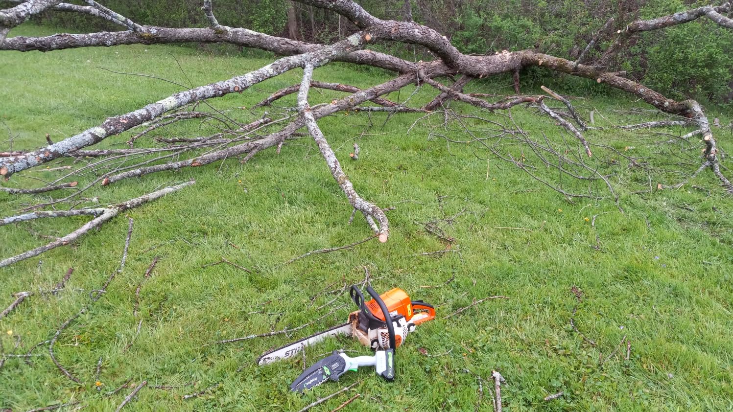 CEEPUY Mini Chainsaw Cordless, 6 Inch Portable Electric Chainsaw with Automatic Oiler/Security Lock/Battery Powered Small Handheld Saw for Trees Branches Trimming, Wood Cutting customer photo 1