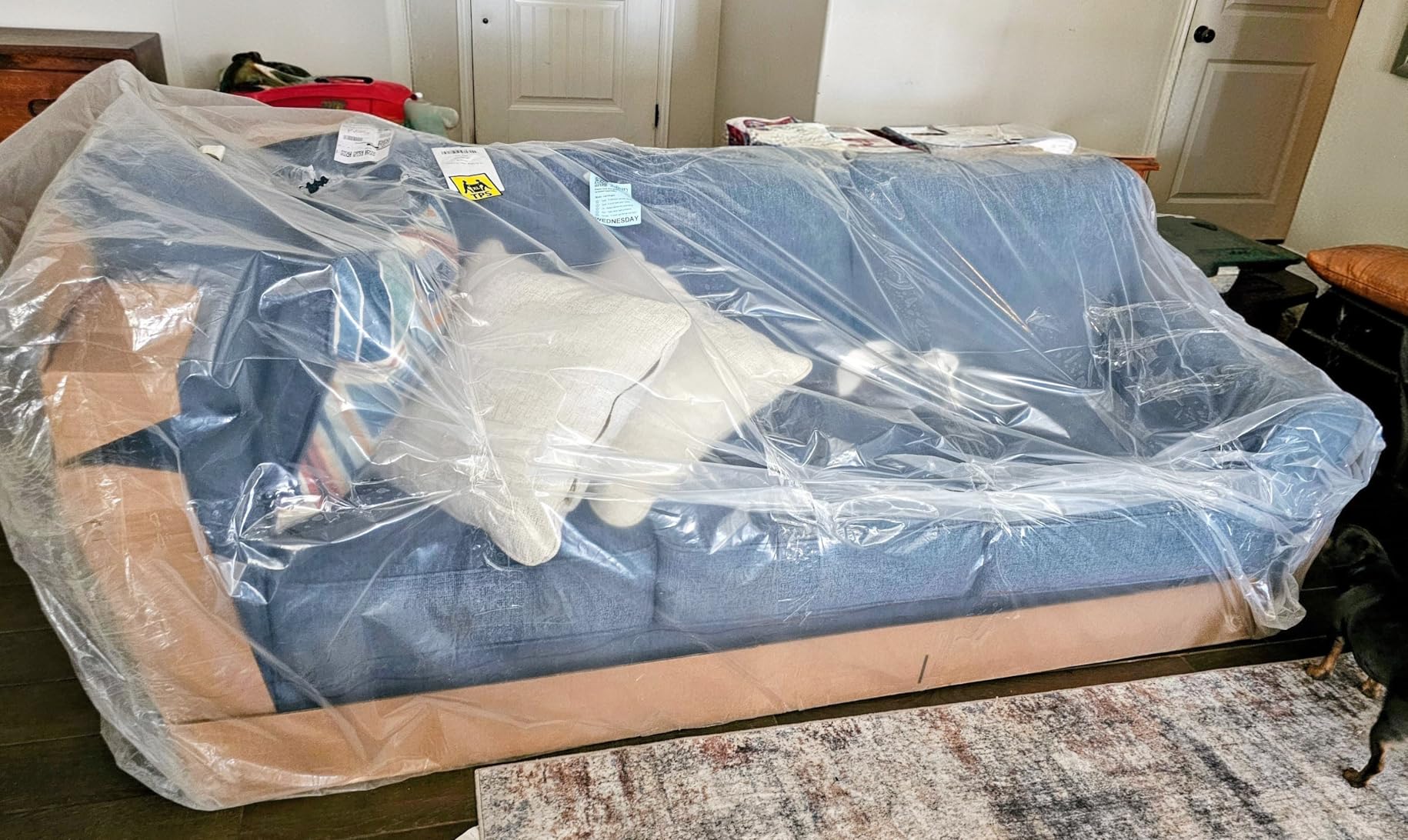Signature Design by Ashley Cashton Casual 2-in-1 Sofa Sleeper with Folding Gel Memory Foam Mattress, Queen, Blue customer photo 2