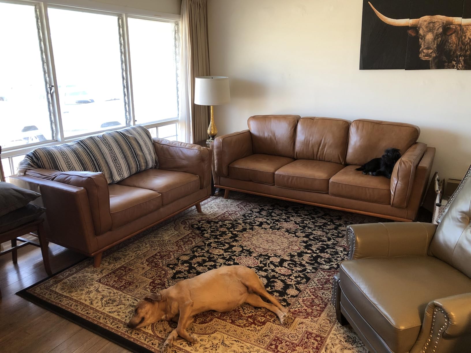 Valencia Artisan Full Leather Sofa - Pure Full Italian Nappa Leather Couch, Solid Wood Accent, Ultimate Comfort (Cognac, L-Shape Sectional) customer photo 1