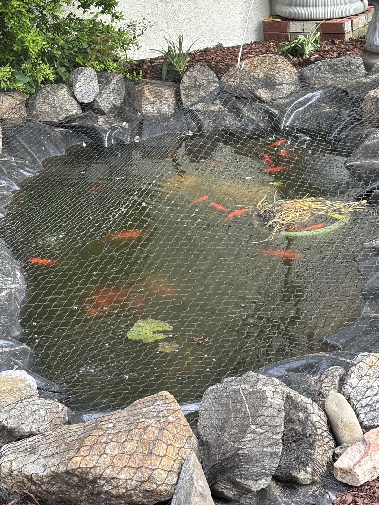 VEVOR 15 x 20 ft Pond Liner, 45 Mil Thickness, Pliable & Durable EPDM Material customer photo 1