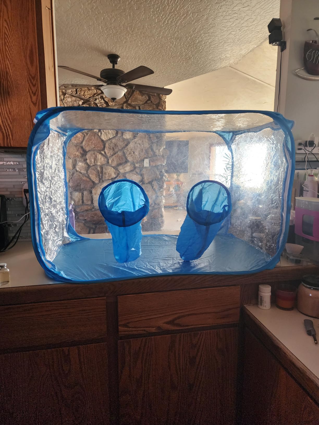 Still Air Box, Mushroom Grow Kit, Portable Compact Still Air Box Mycology for Mushroom Lovers, Mushroom Fruiting Chamber for Mycology Supplies/Home Scientists (35.5x23.5x23.5 inch) customer photo 1