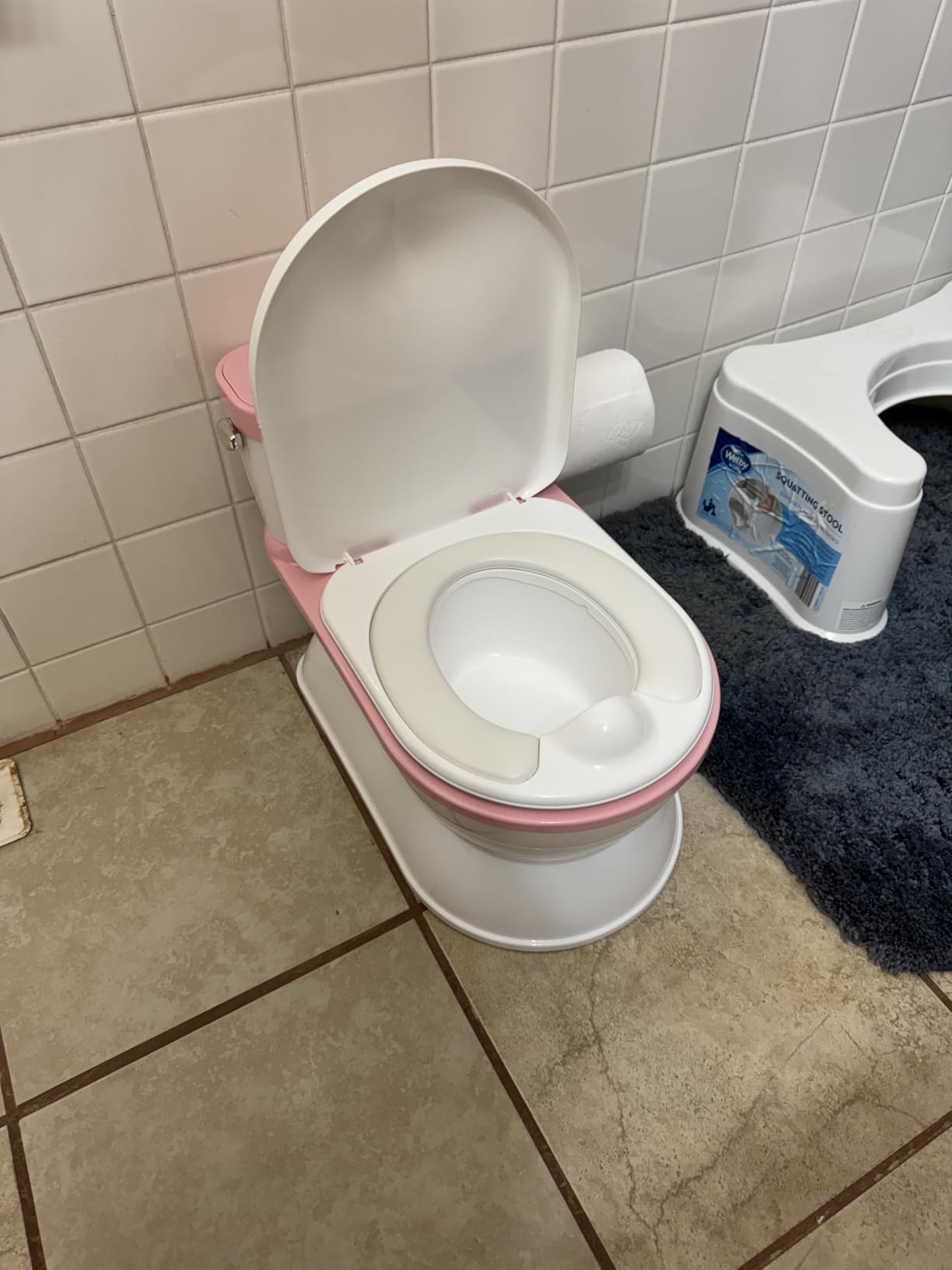 CheerTry 2-in-1 Toddler Potty Training Toilet - Larger Potty Chair & Detachable Training Seat for Boys & Girls Ages 1-3 with Flushing Sound, Wipes Storage, Toilet Paper Holder - Grey customer photo 1