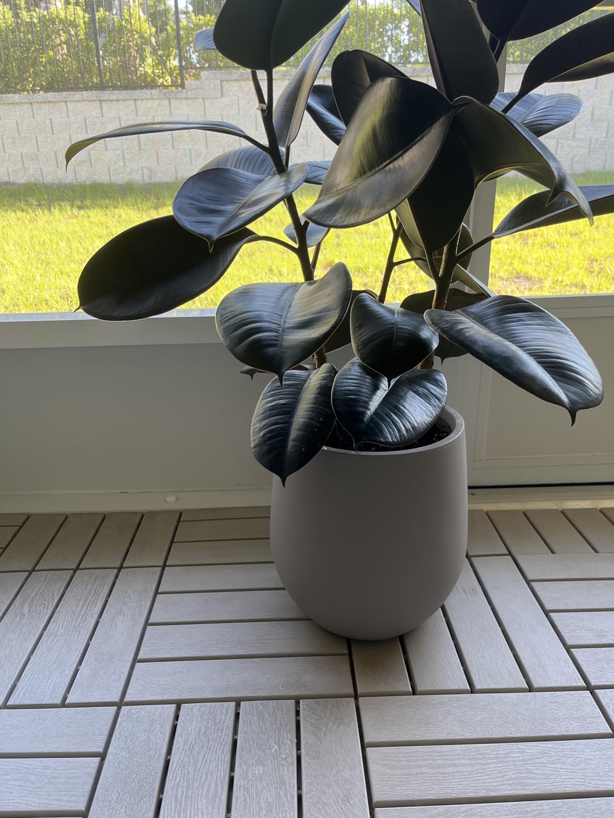KUTE NEST 21
