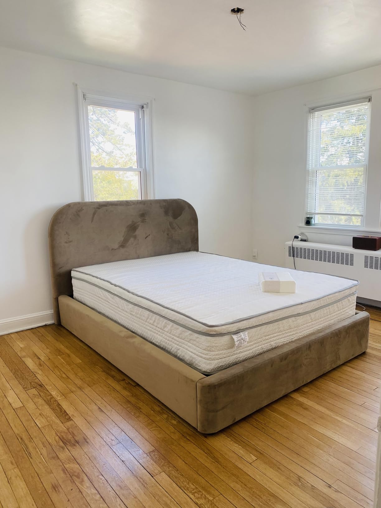 Modway Keynote Modern King Size Bed Frame with Curve Shaped Headboard in Taupe, Upholstered Performance Velvet King Platform Bed, Soft Cloud Bed Frame, No Box Spring Needed customer photo 2