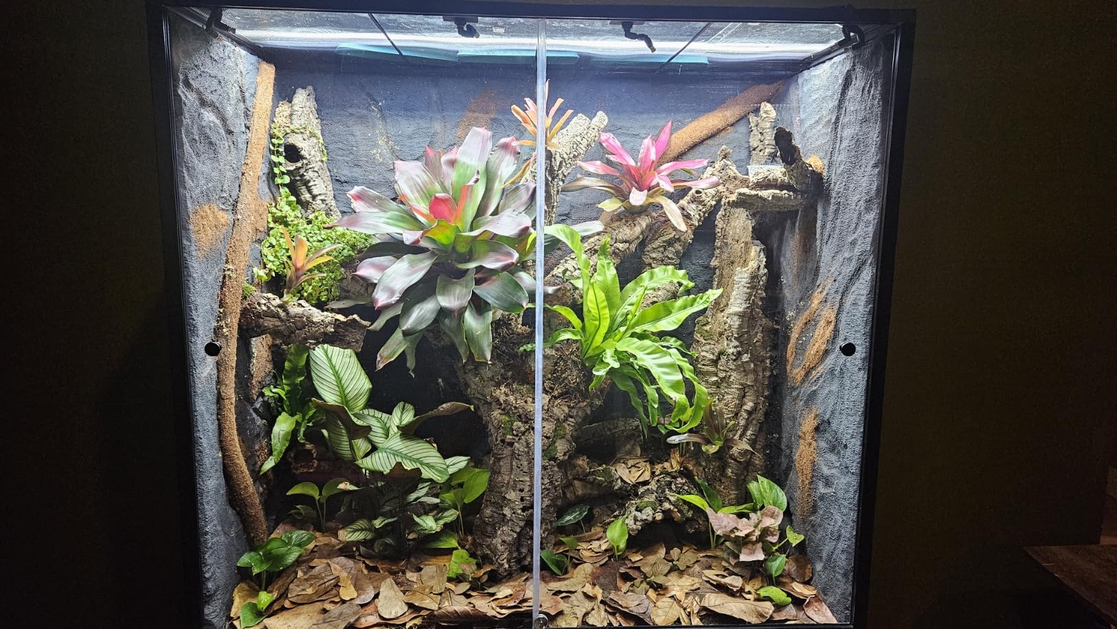 Reptile Misting System with Timer, 6 Adjustable-Joint Nozzles, Self-Priming Pump, Quiet Fine Mist for Terrariums & Plants customer photo 2