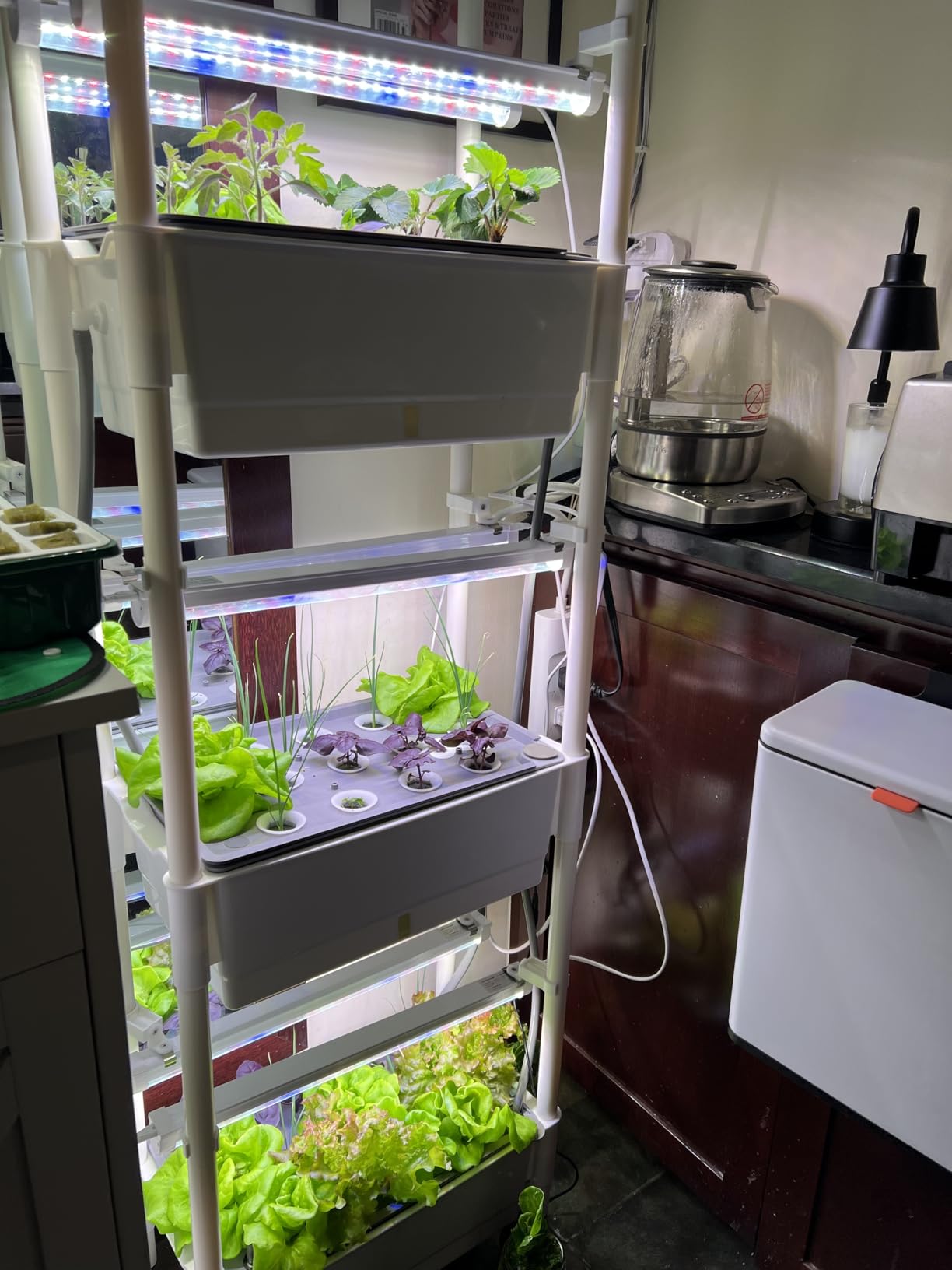 AOONEG 42Pods Indoor Herb Garden with LED Grow Light, Hydroponics Growing System Kit with Automatic Timer, Pump System, Adjustable Height (No Seed, Glossy White, 3Layer-42Pods) customer photo 2