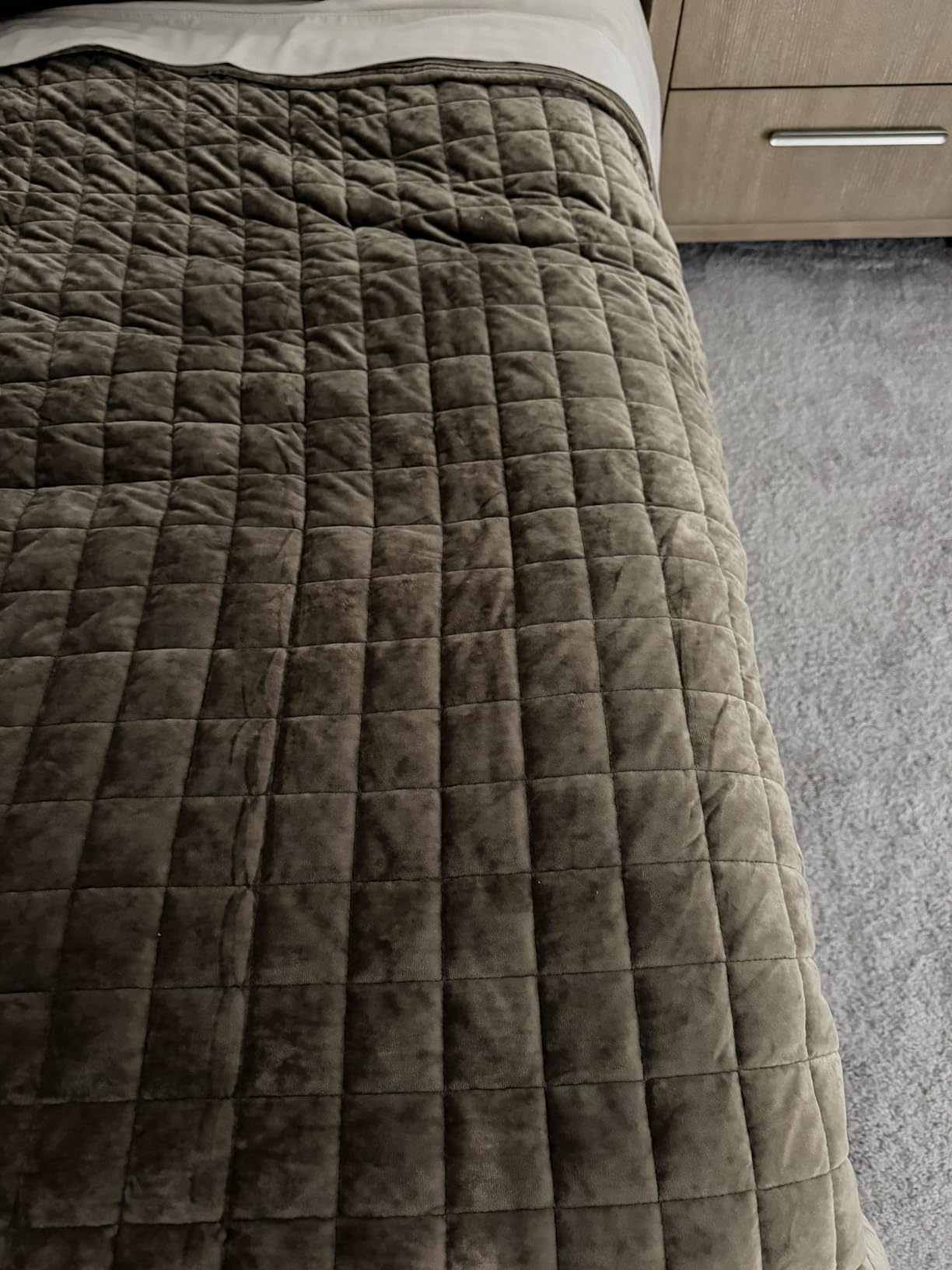 RECYCO Luxury Velvet Quilt Set Full Queen Size Bedding Sets, Ultra Soft Velvet Comforter Set, Lightweight Channel Box Stitch Oversized Bedspread Coverlet for All Season, with 2 Shams, Beige customer photo 2