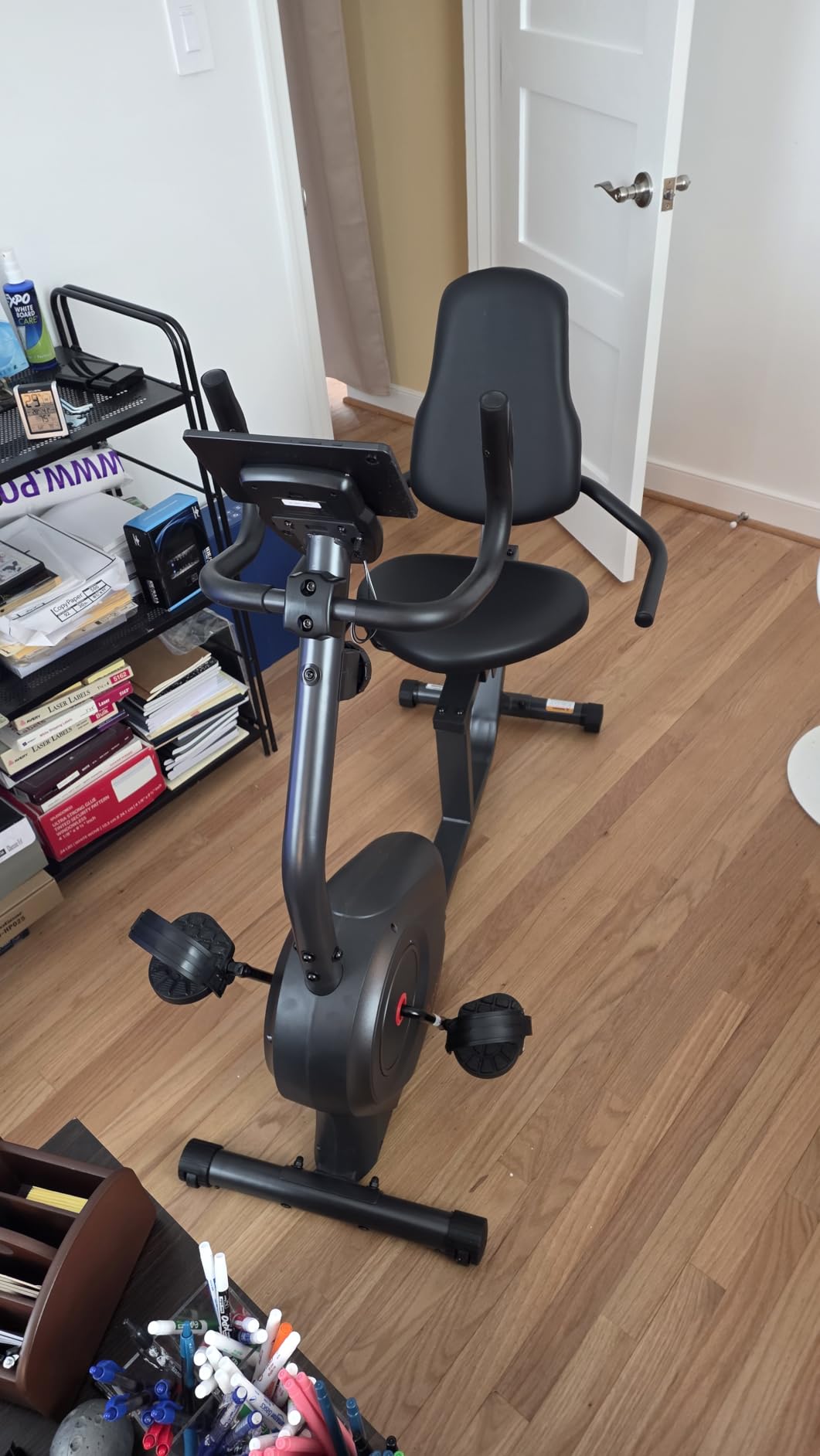 Sunny Health & Fitness Smart Recumbent Bike w/Wide Cushioned Seat & Back, Indoor Cycling Machine for Adult/Seniors Home Exercise, Free SunnyFit App Connection customer photo 1