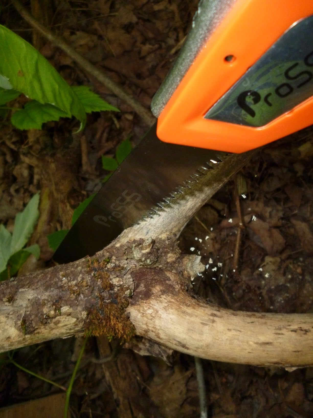 Folding Bone Meat Saw for Hunting and Butchering, 1PC Replaceable Blade, 65Mn Spring Steel Blade, 3 Angles to Lock, Triple Ground Saw Teeth with A Storage Bag customer photo 2