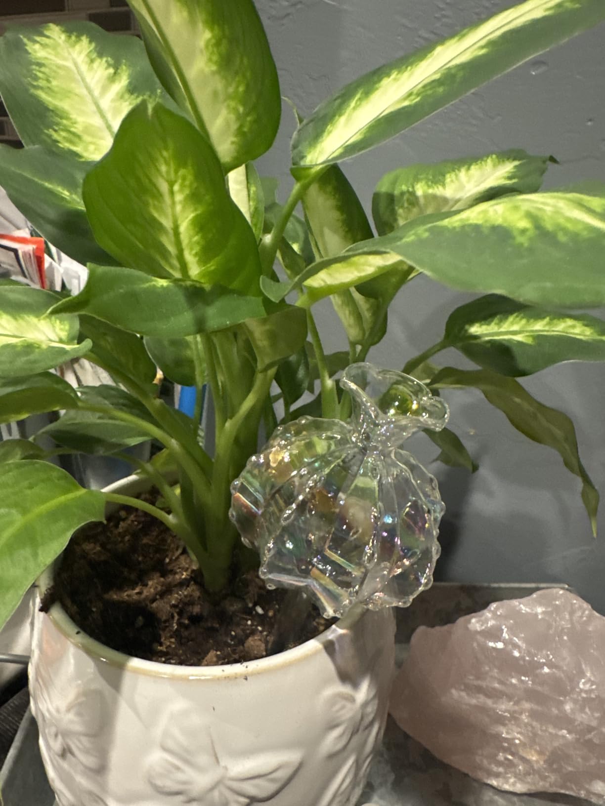 NiHome Cactus-Shaped Glass Plant Self-Watering Globes 6-Pack, Glass Waterer Stakes for Potted Plants, Automatic Mini Irrigation System, Adorable Gardening Tool (Iridescent, 3 Large + 3 Medium) customer photo 1