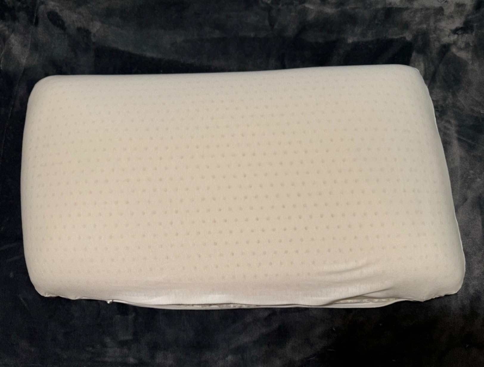 Talalay 100% Natural Premium Latex Pillow,Bed Pillow for Sleeping with Removable Cotton Cover, Helps Relieve Pressure, Breathable, Pressure Relief, Durable, Best Gift (1, Queen (Mid Loft)) customer photo 2