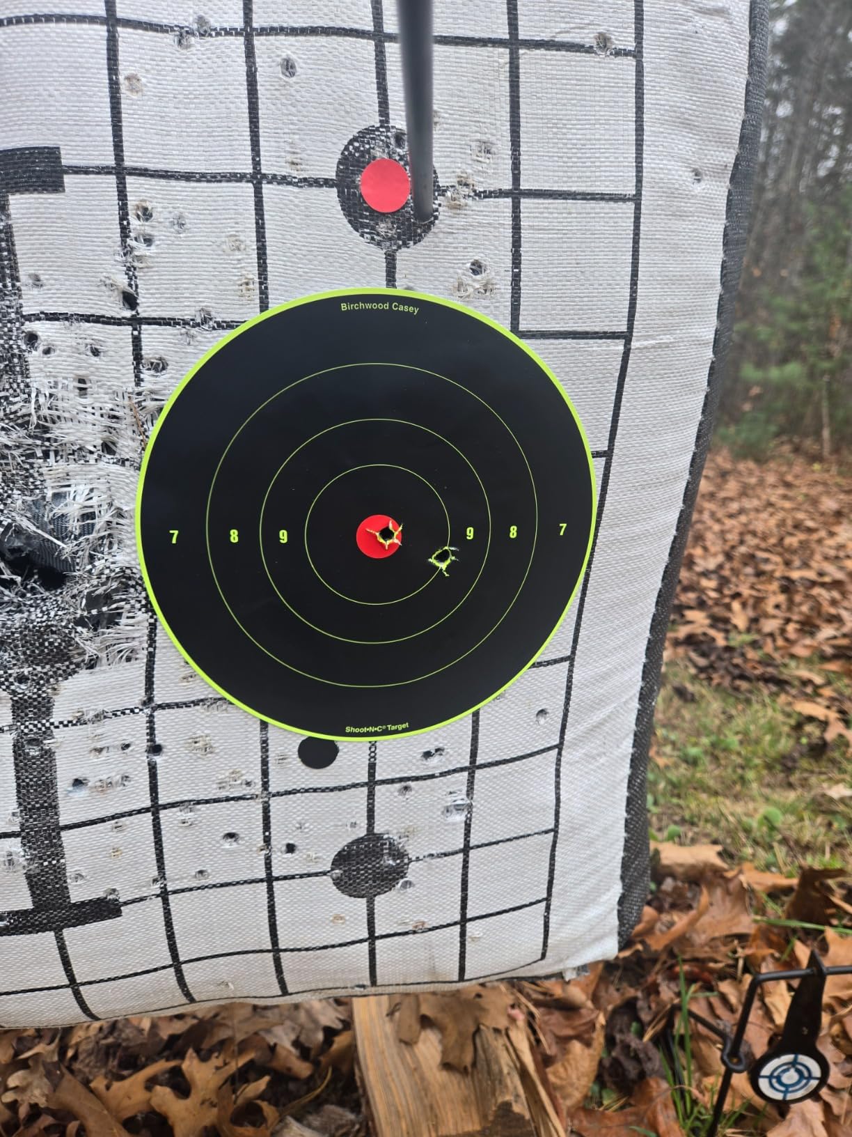Bear Archery Adapt 2 Ready to Hunt Compound Bow Archery Set with IMS V-Biscuit Rest, 4 Pin Sight, 24-31 inch Draw Length, Up to 320 FPS customer photo 1