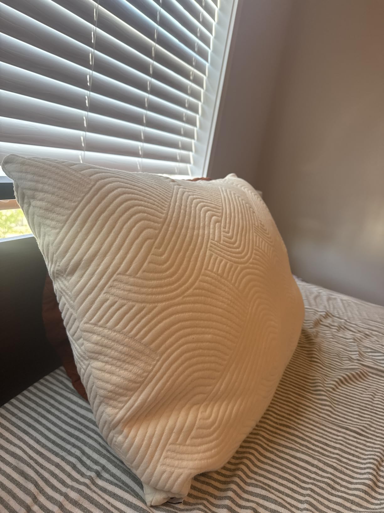 Coop Home Goods Adjustable Latex Pillow Queen, Talalay Latex and Microfiber Fill, Best Pillows for Sleeping, Ergonomic, Naturally Cooling, Eco-Friendly, Medium Firm for Back, Side and Stomach Sleepers customer photo 2