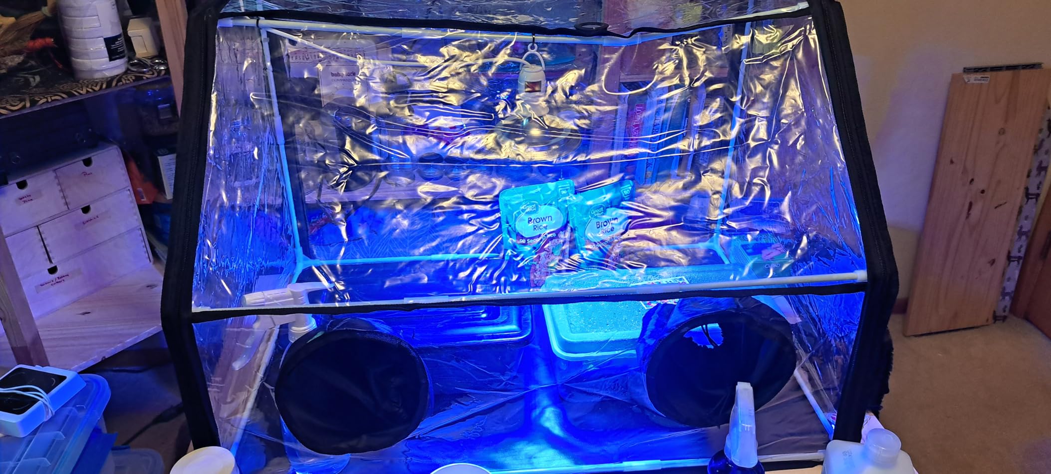 Meonum Mushroom Grow Tent and LED Growing Light Kit, 30 x 20 x 20 Inch Portable Still Air Box, Mycology Mushroom Growing Kit, Indoor Propagation Stations with 48 LED Mushroom Grow Lamp(Black) customer photo 2