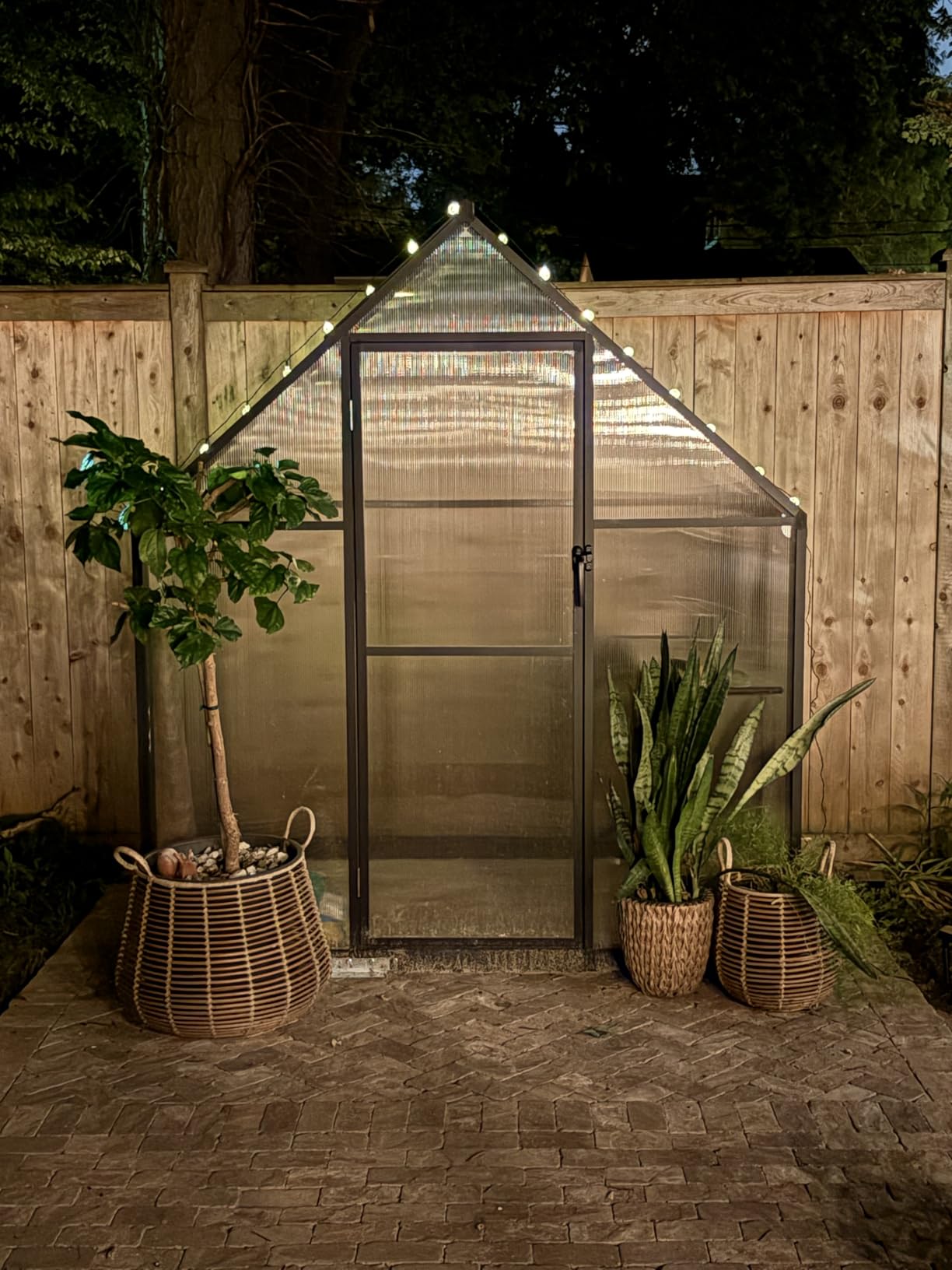 8X10FT Greenhouses for Outdoors with Electronic Thermometers, Green Houses for Outside with Drainage Channel Roof Vent for Backyard, Walk-in Greenhouse Kit Withstands Strong Wind or Snow customer photo 1