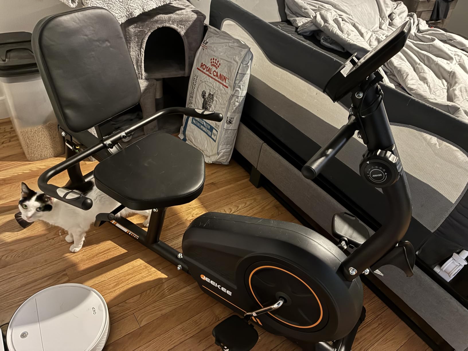 JEEKEE Recumbent Exercise Bike for Seniors,Stationary Bikes for Home, 400LB Capacity & 16 Levels Magnetic Resistance, Heart Rate Handle customer photo 1