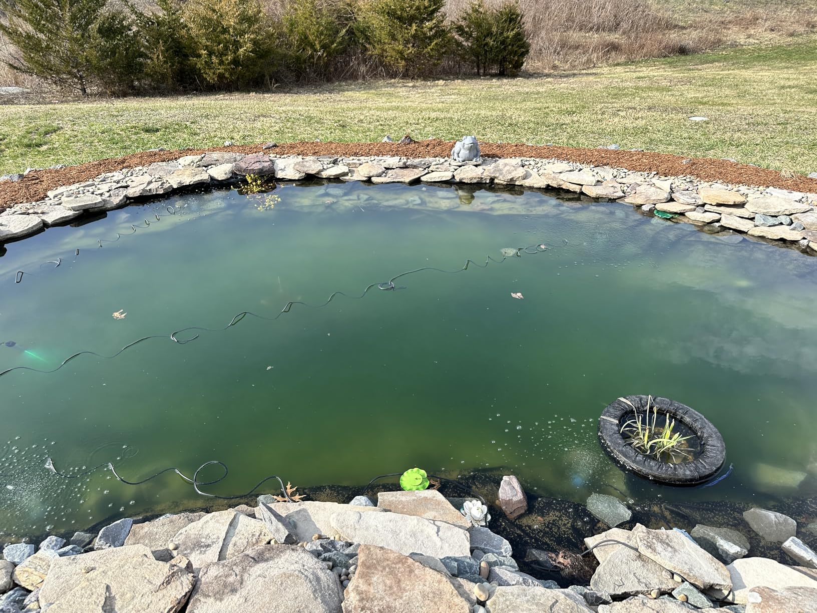 32W Pond UV Light for 200-2000 Gallon, Aquarium UV Light, UV Water Clarifier for Pond, Cold Plunge, Koi Pond, Aquarium, Swimming Pool and Fish Tank for Algea Control customer photo 2