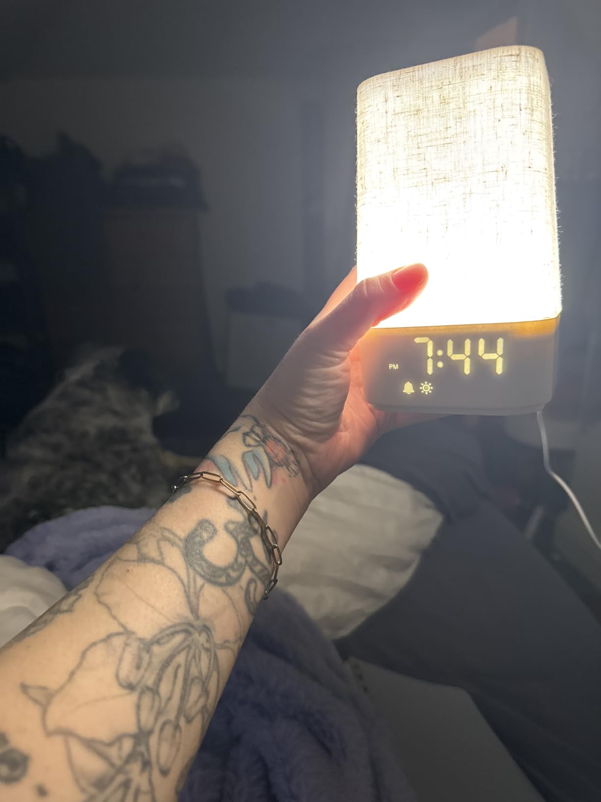 10-60 Mins Simulate Sunrise Alarm Clock: Gentle Wake Up Light Adjustable Brightness, 30-Level Volume, Bright & Loud Enough for Heavy Sleepers - White Noise Machine with 30 Soothing Sounds, Ease of Use customer photo 1