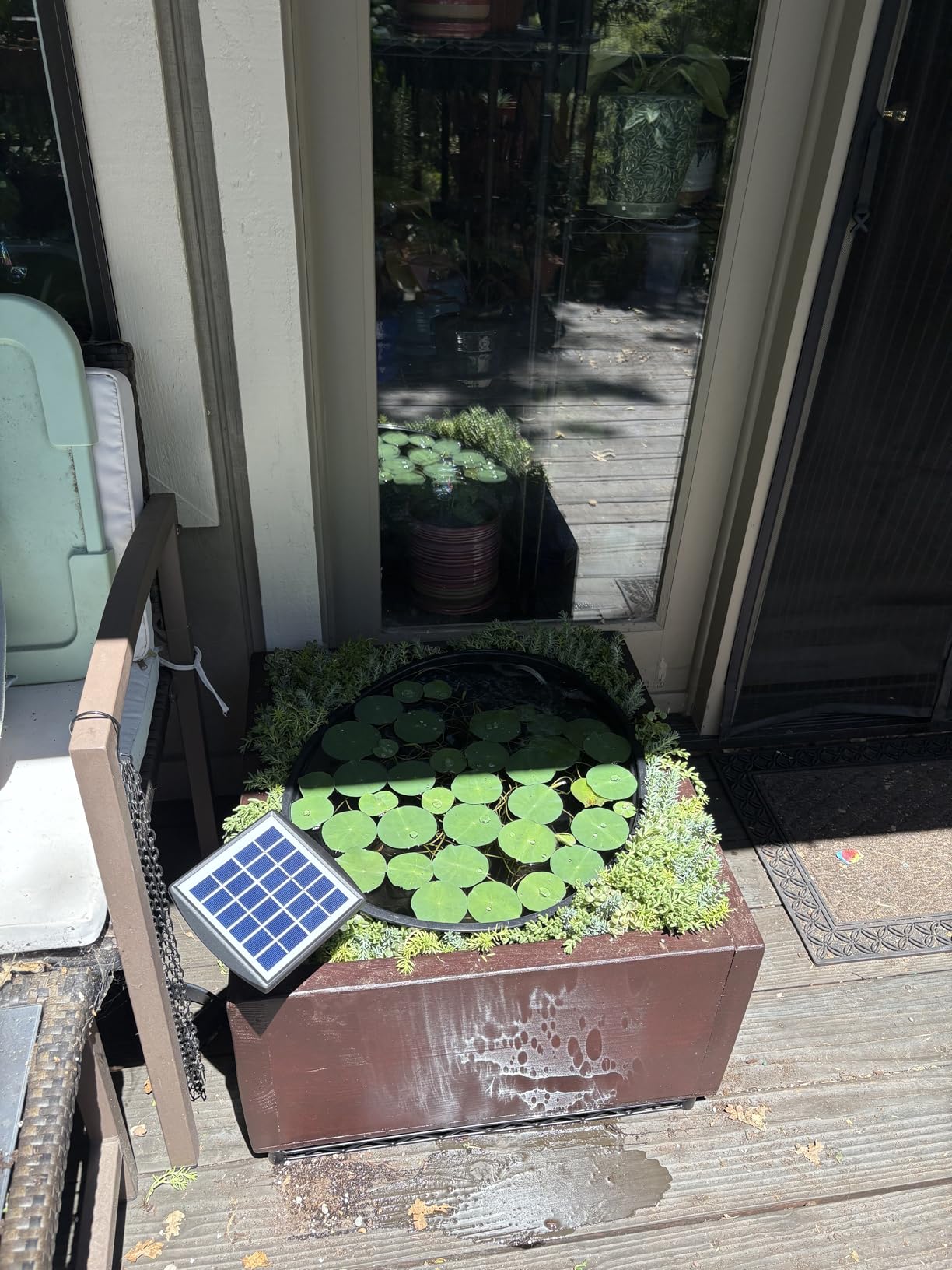 PChero Solar Pond Aerator, 2W & 2200mAh Solar Aquarium Air Pump with 2 Air Stone, 2 Modes Bubbler for Aquarium, Fish Tank, Outdoor Small Pond, Hydroponics customer photo 1