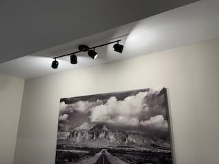 FEMILA 3000K LED Track Lighting, 53