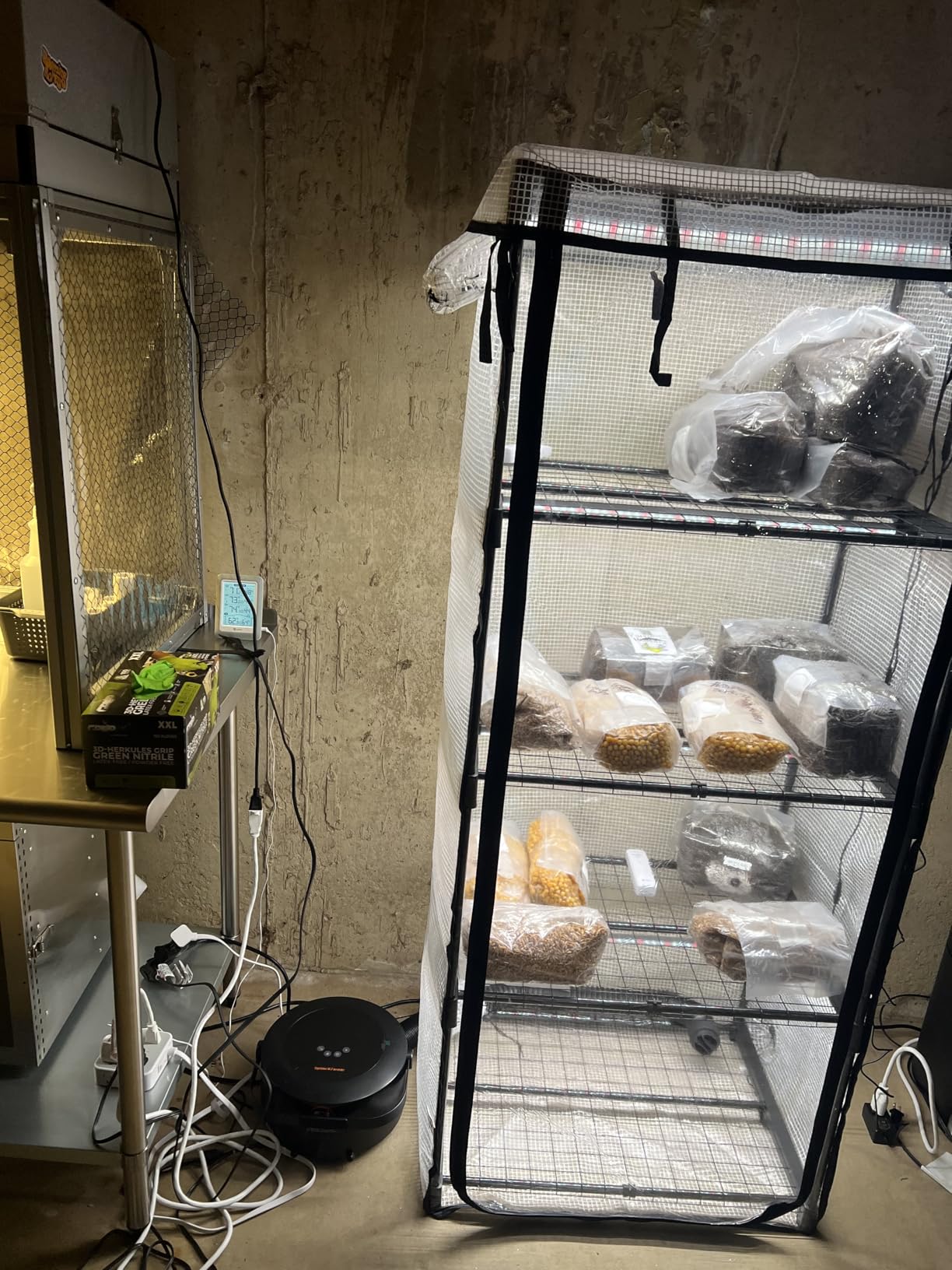 Mushroom Grow Tent with 6500K LED Light & Timer, 4-Tier Shelves Fit Up to 8 Monotubs, Mini Indoor Greenhouse with Grow Light, Waterproof Tray, 4 Vents, Martha Tent customer photo 1