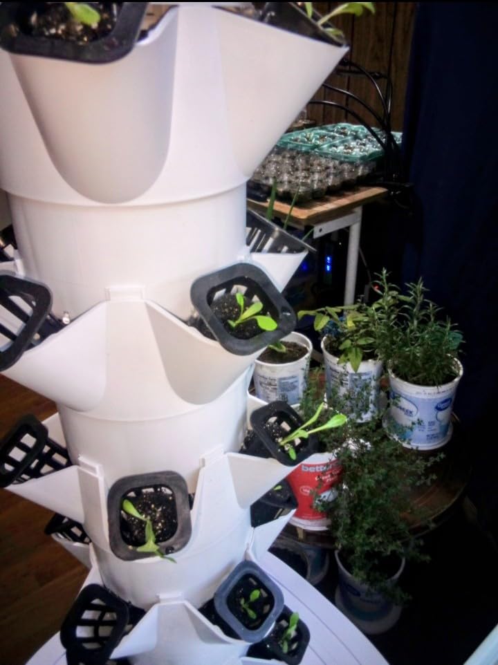 VEVOR Hydroponic Growing System with Grow Light, 30 Pods Vertical 6 Tiers Hydroponic Tower, Home Hydronic Garden with Water Pump, Plants Germination Kit for Indoor Herbs, Fruits and Vegetables customer photo 1